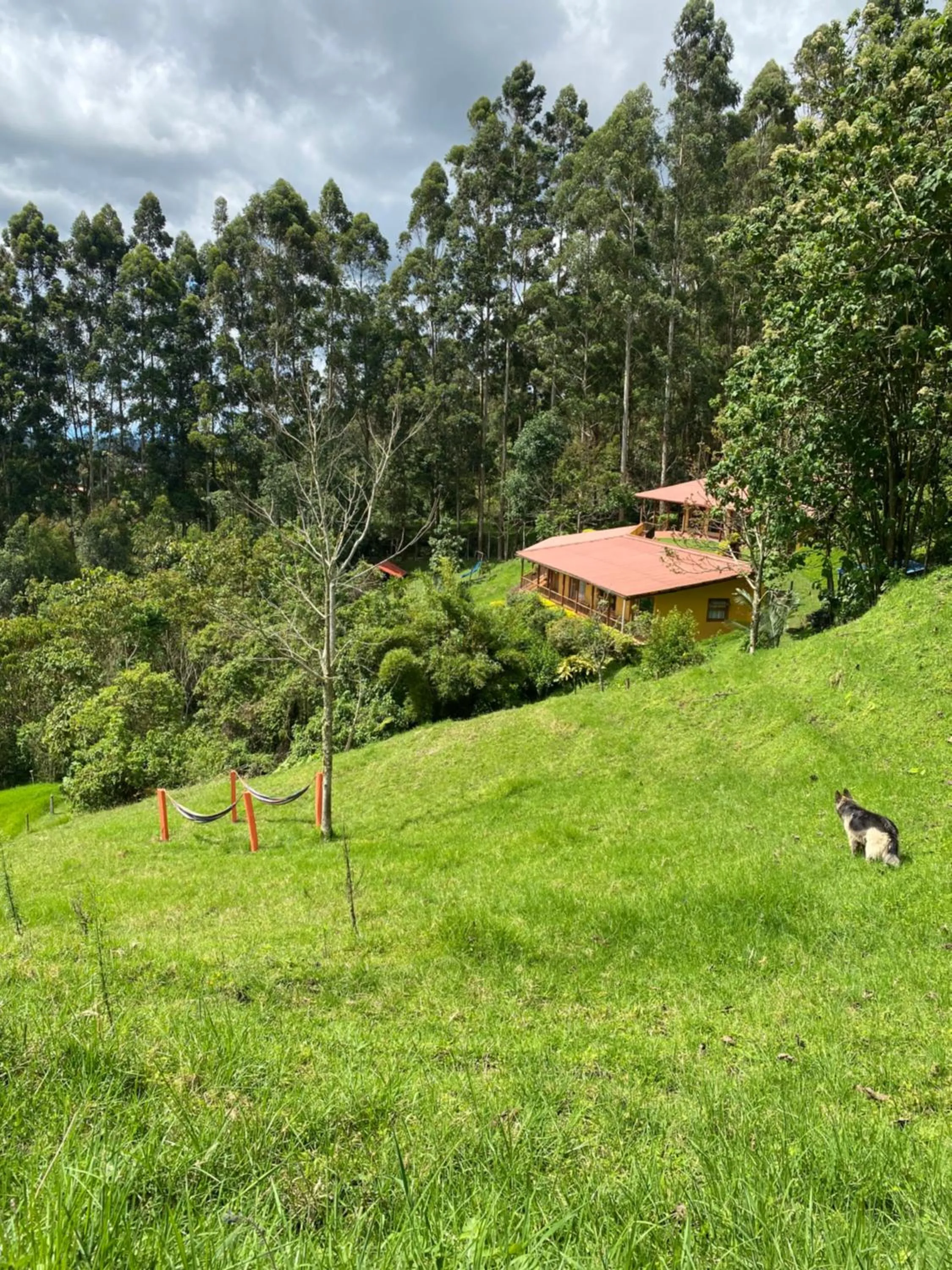 Property building in Ecoresort Gran Azul