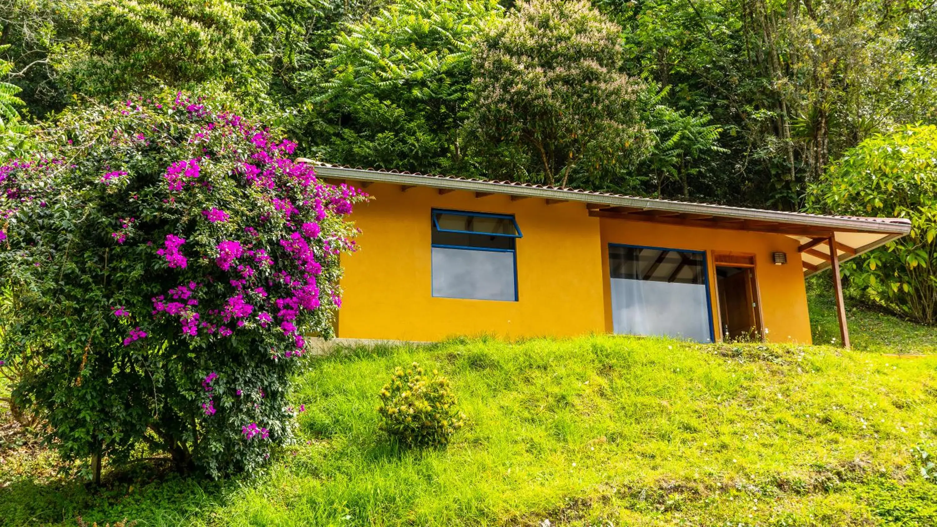Apartment with Mountain View in Ecoresort Gran Azul Apartment with Mountain View in Ecoresort Gran Azul