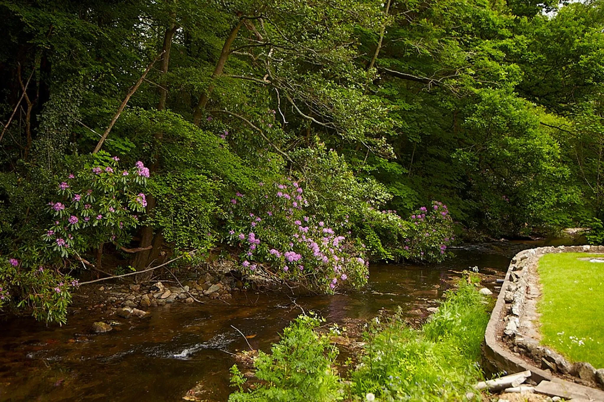 Natural landscape in Clody Lodge