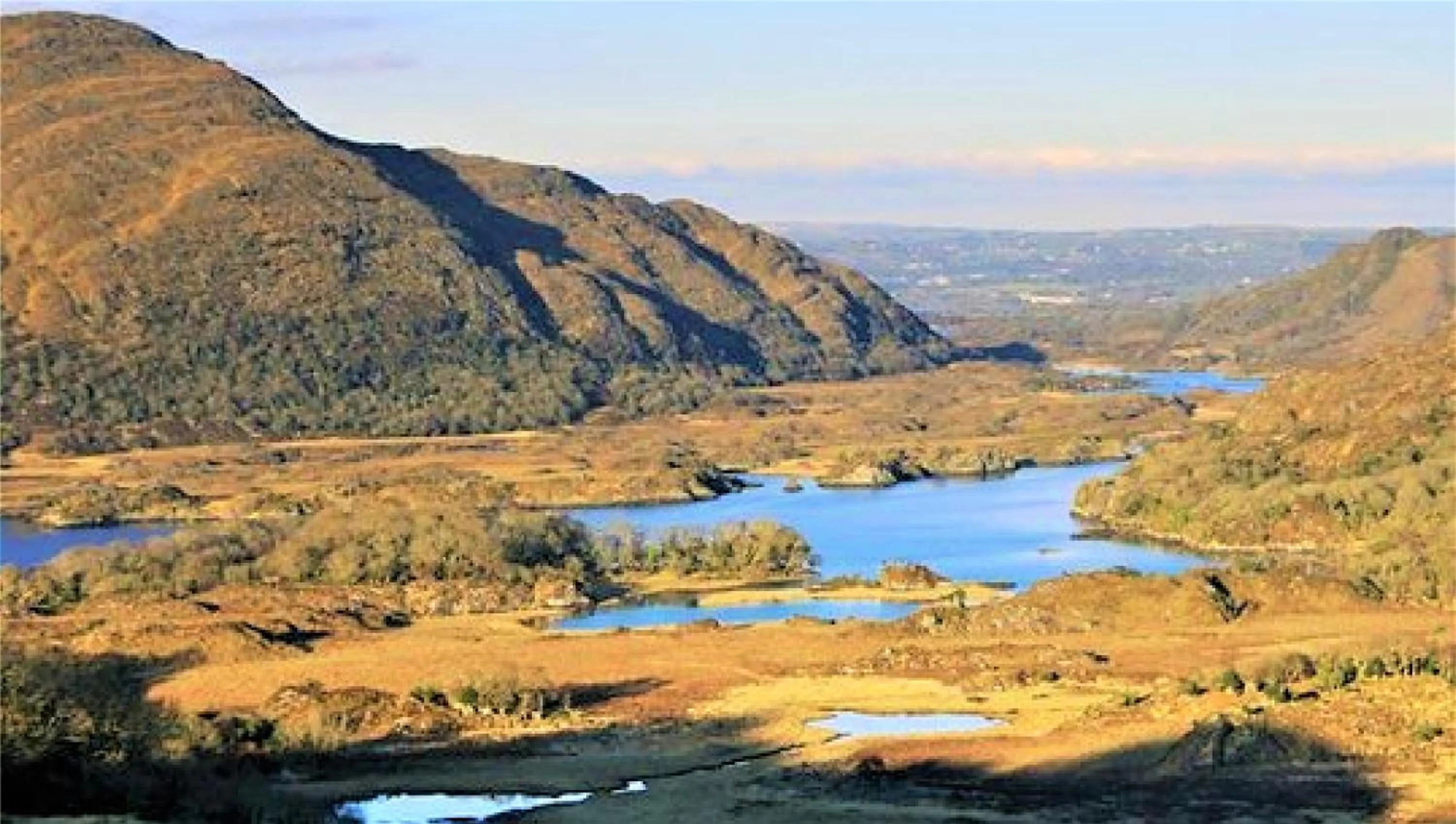Natural landscape in Leabrook House