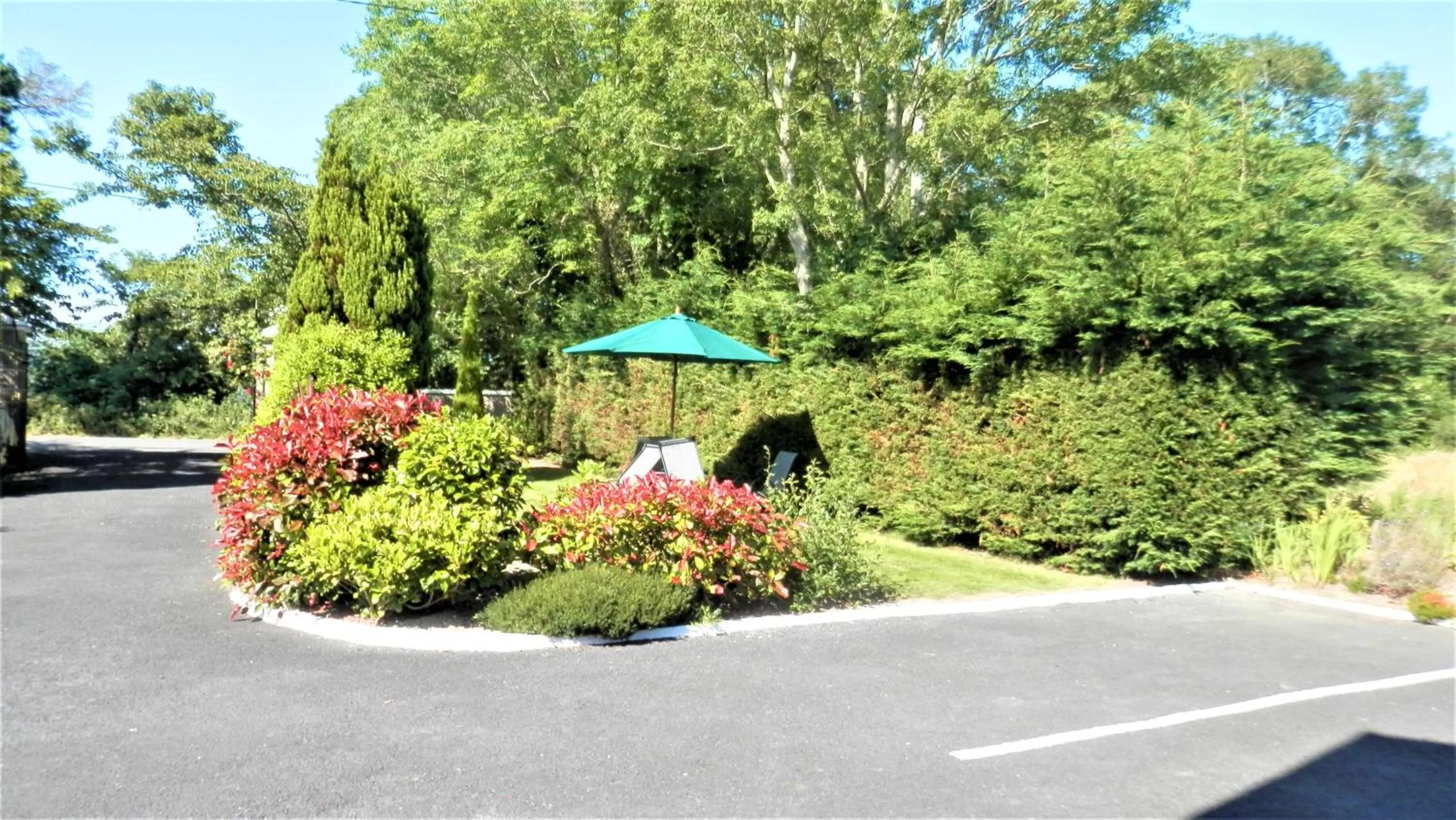 Garden in Leabrook House