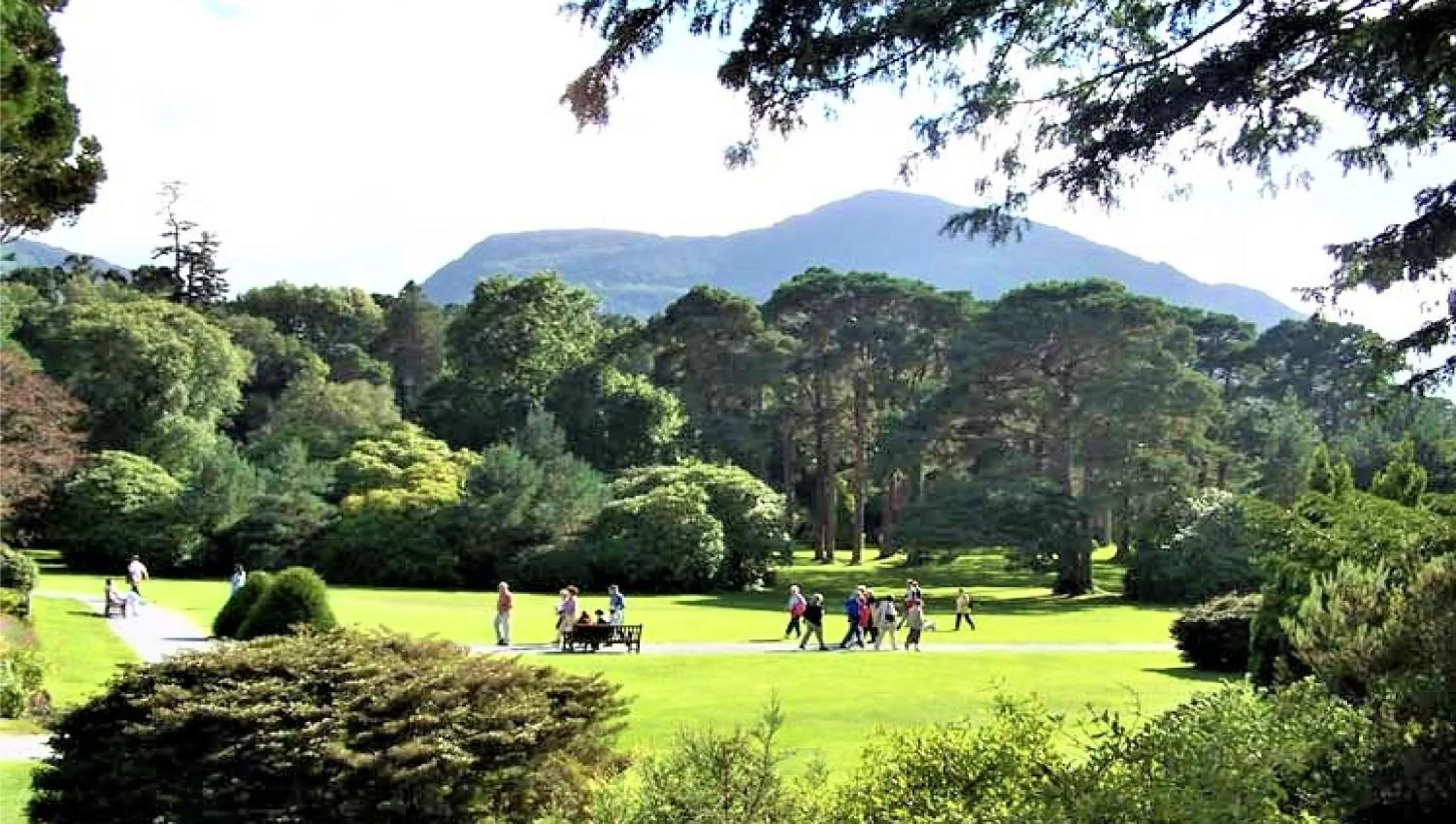 Other in Leabrook House