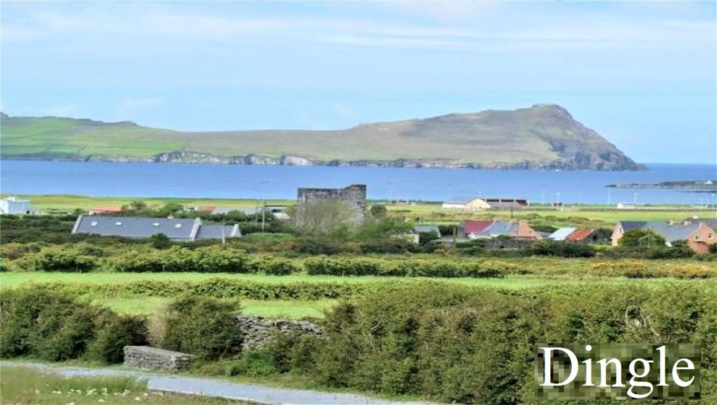Natural landscape in Leabrook House