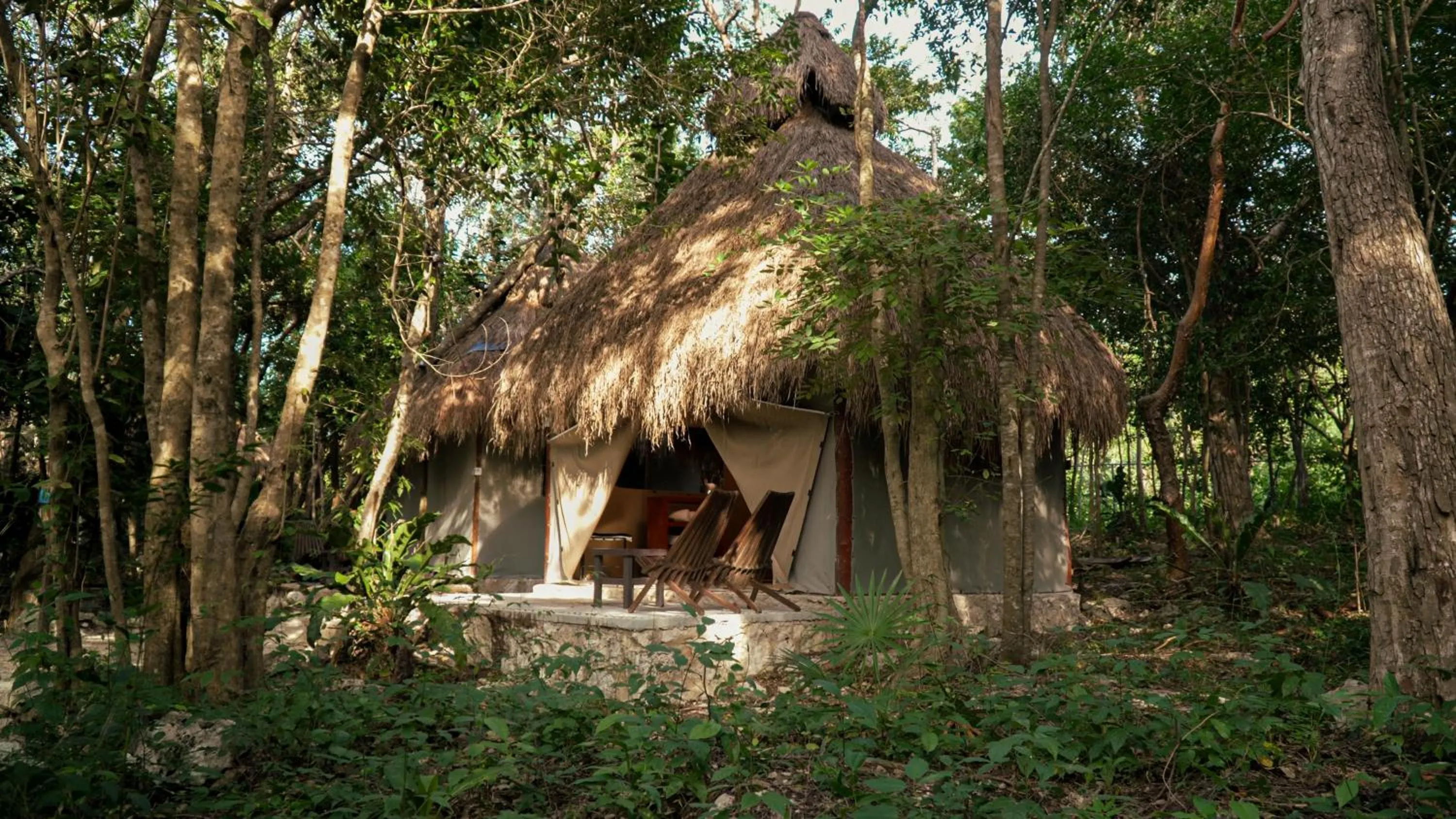 Natural landscape in Akumal Natura Glamping