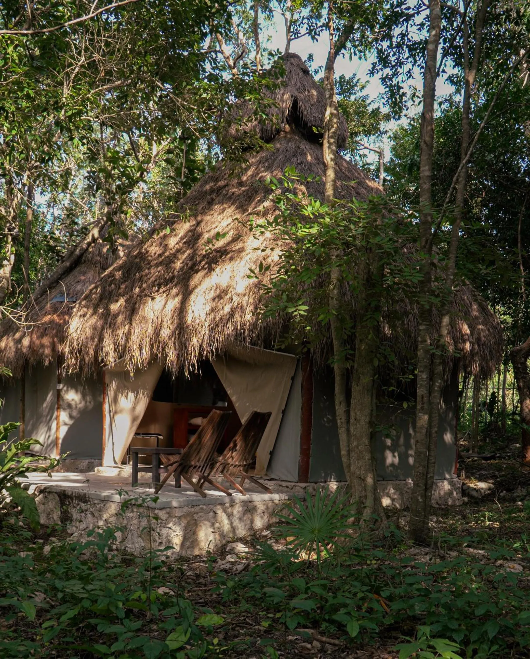 Garden view in Akumal Natura Glamping