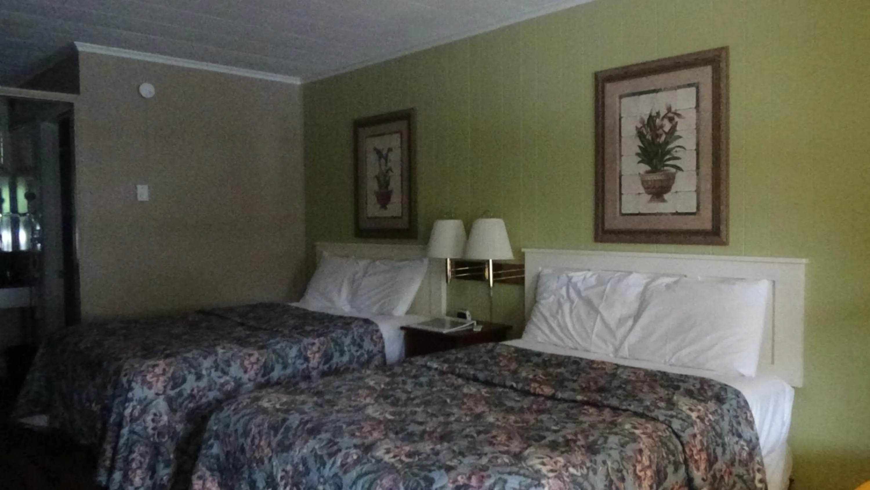 Bed in Roseloe Motel