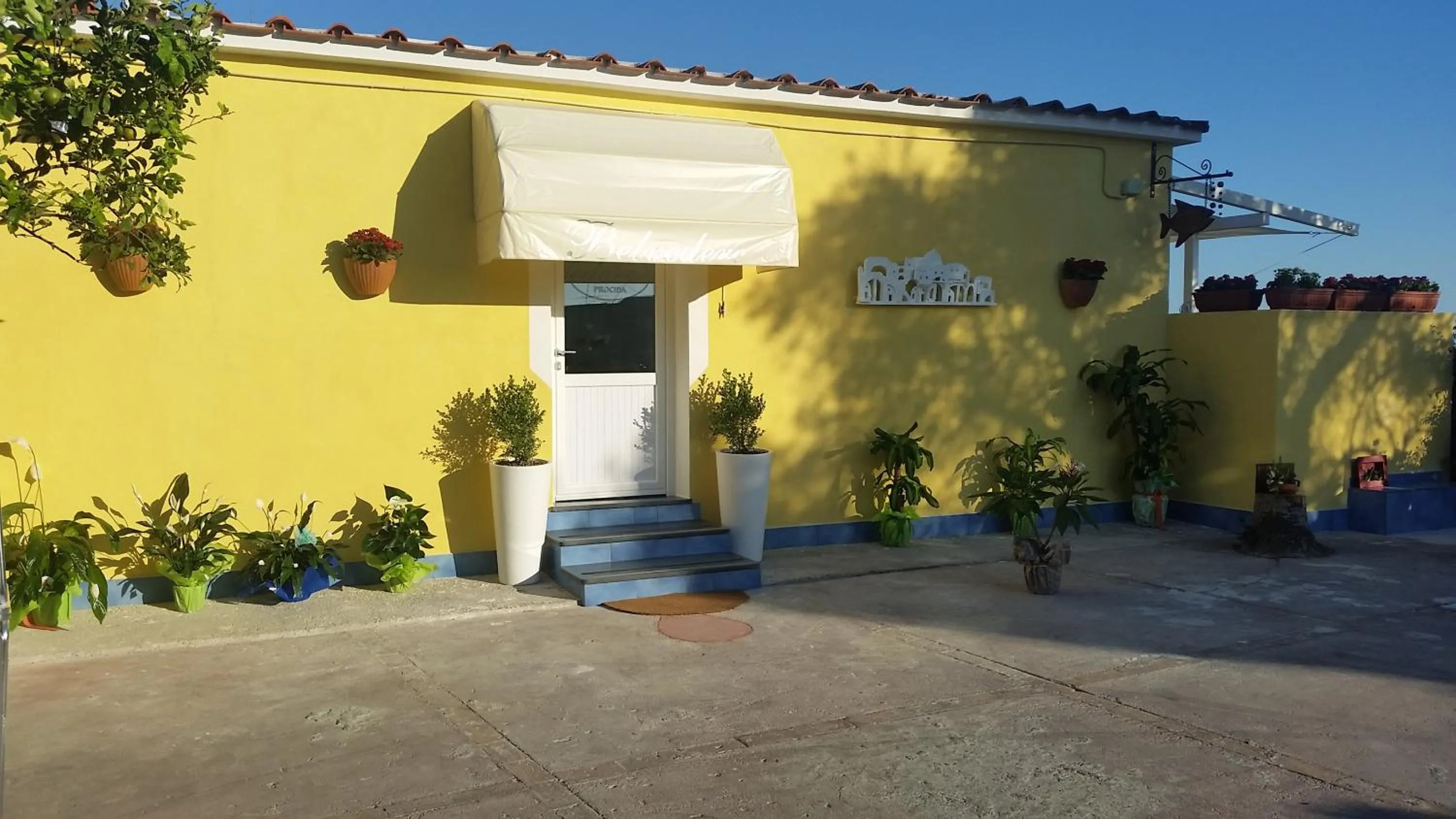 Property building in Belvedere