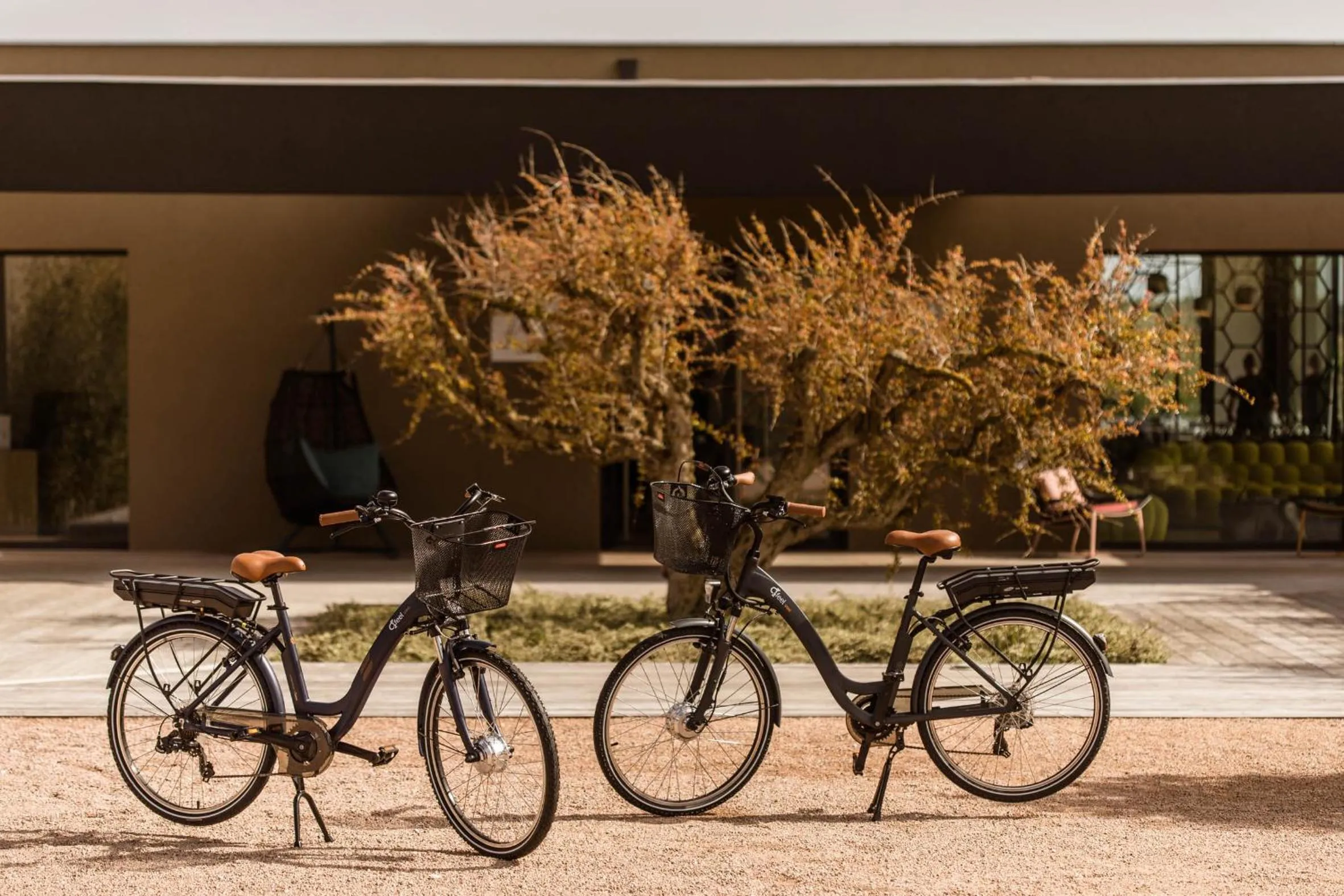 Fitness centre/facilities in Hôtel & Spa Version Maquis Citadelle