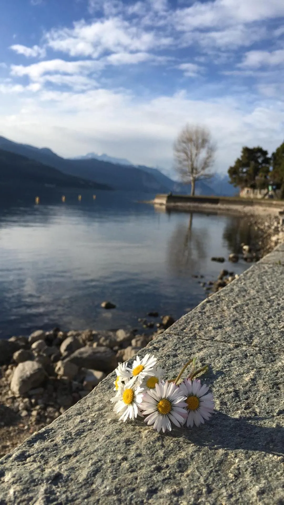 Beach in B&B La Rosa del Lago