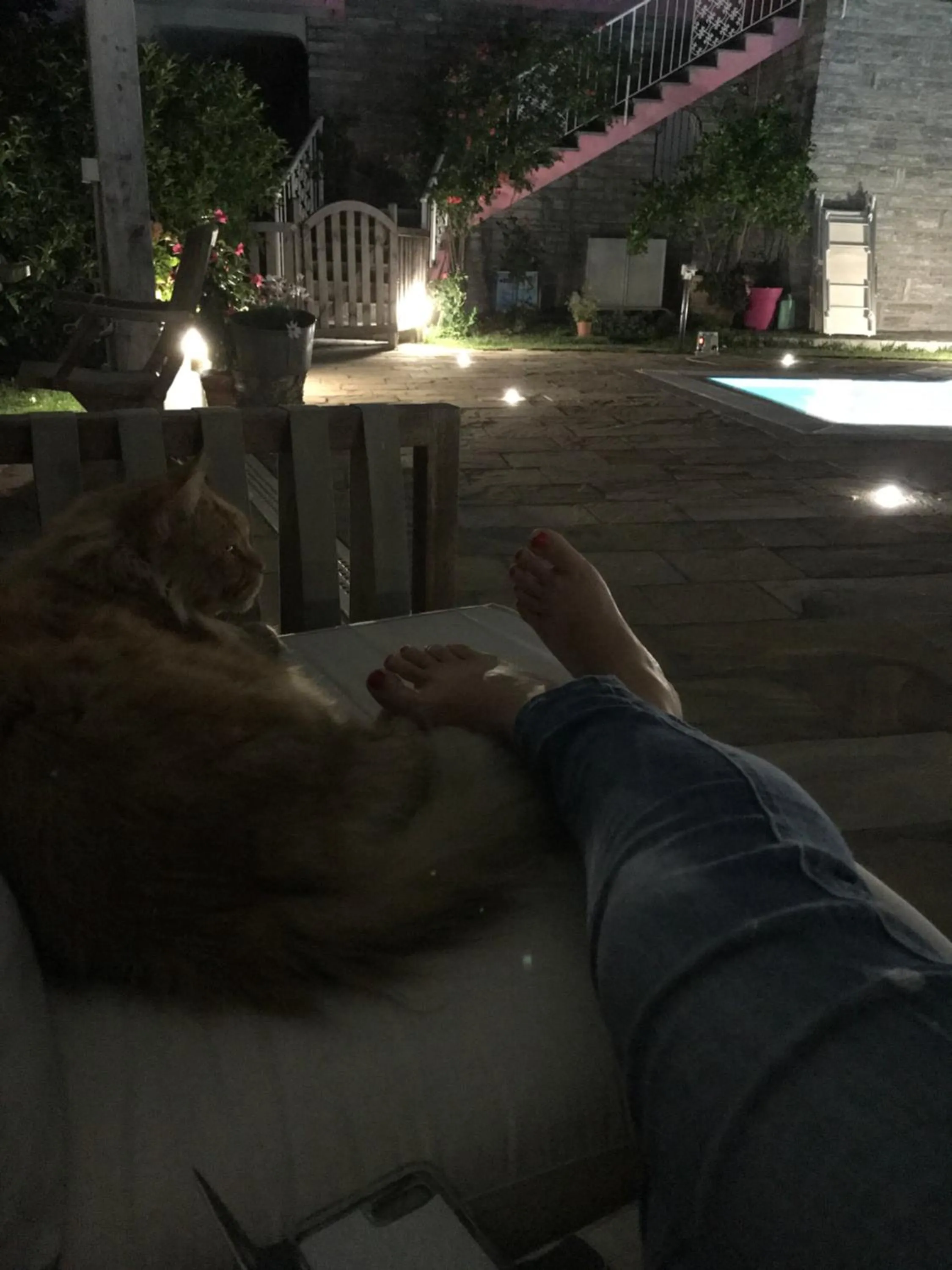 Garden in B&B La Rosa del Lago