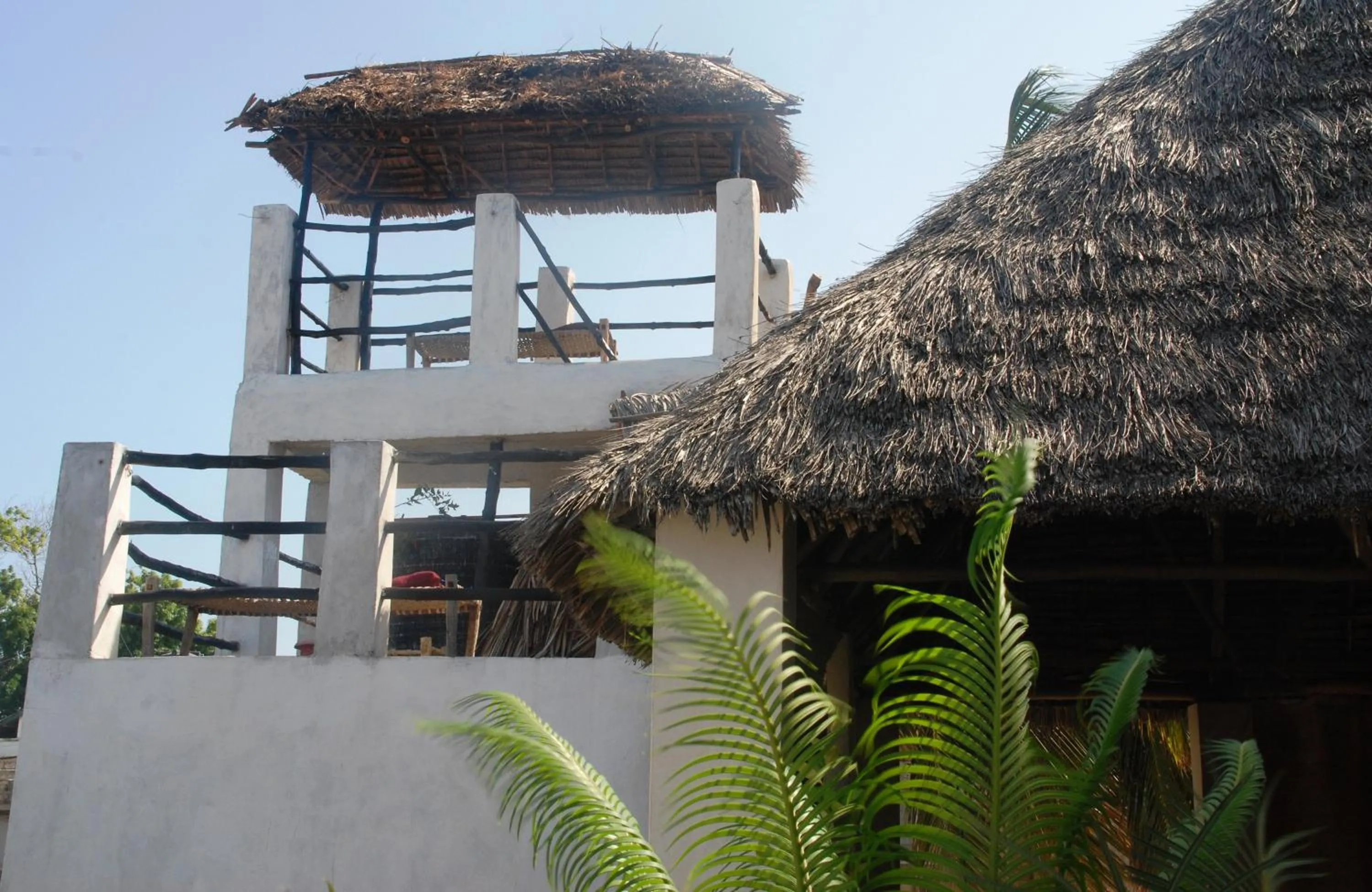 Property building in JamboHouse Lamu