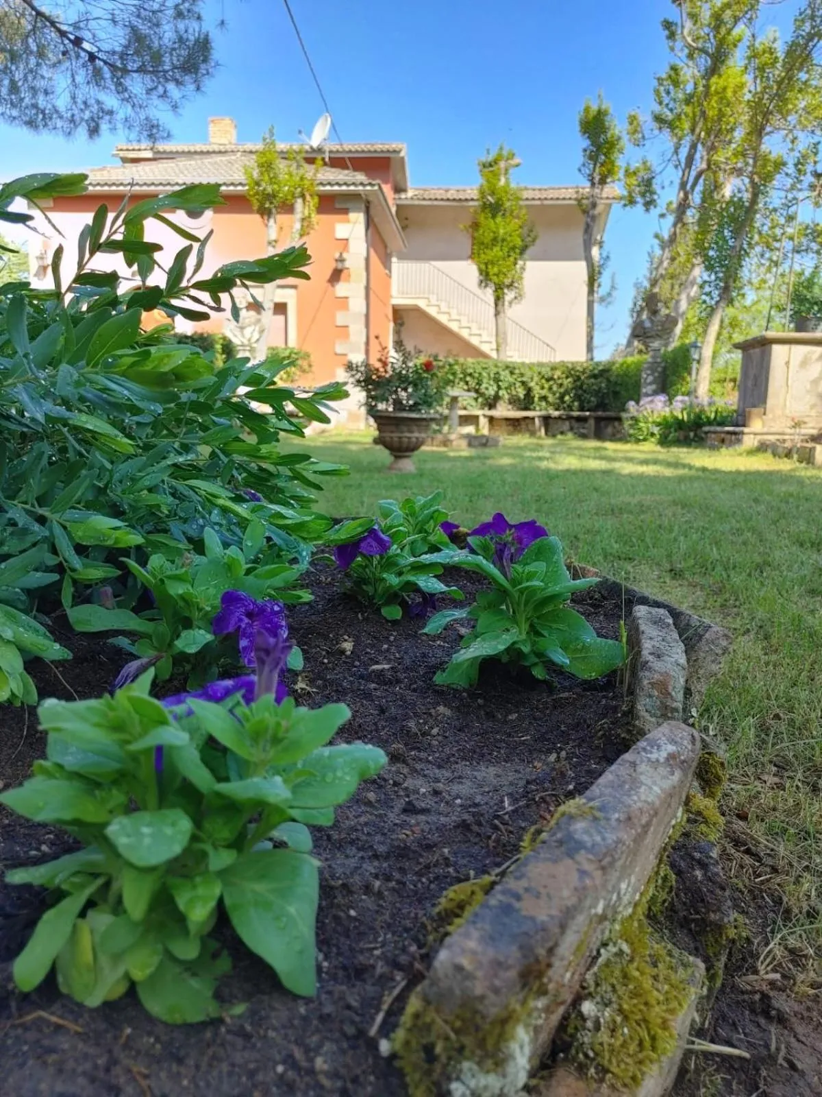 Garden in Borgo Sciugolo