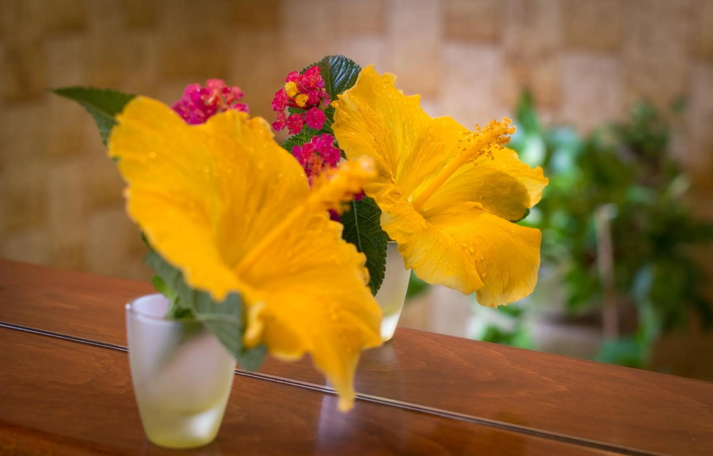 Decorative detail in Su Connotu