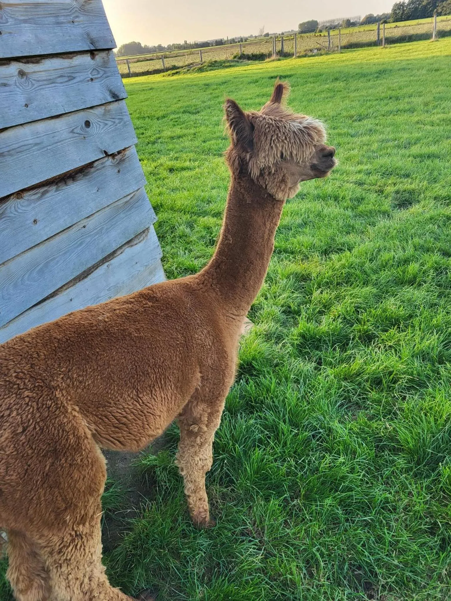 Garden in La Couture du Charme