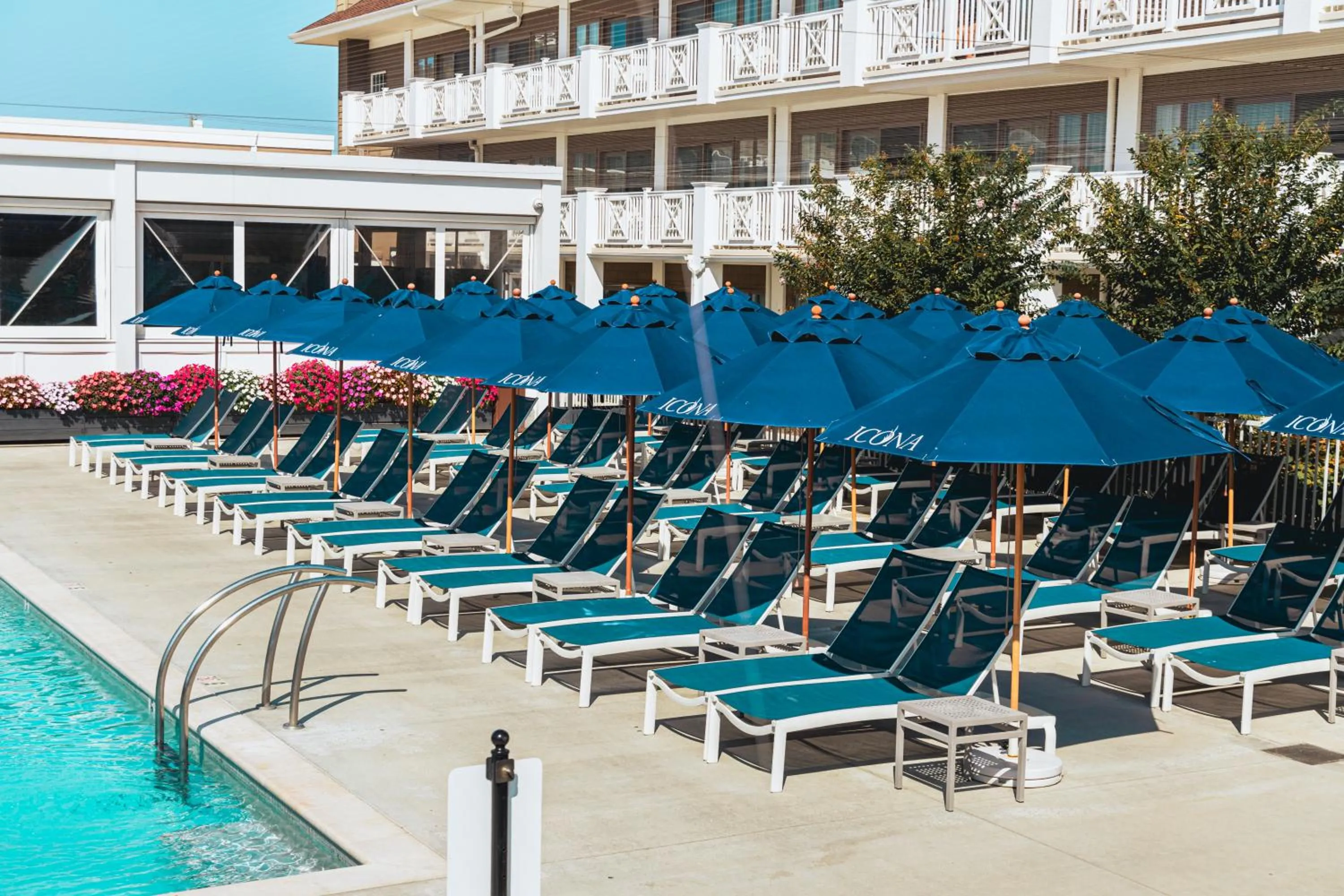 Swimming pool in ICONA Avalon