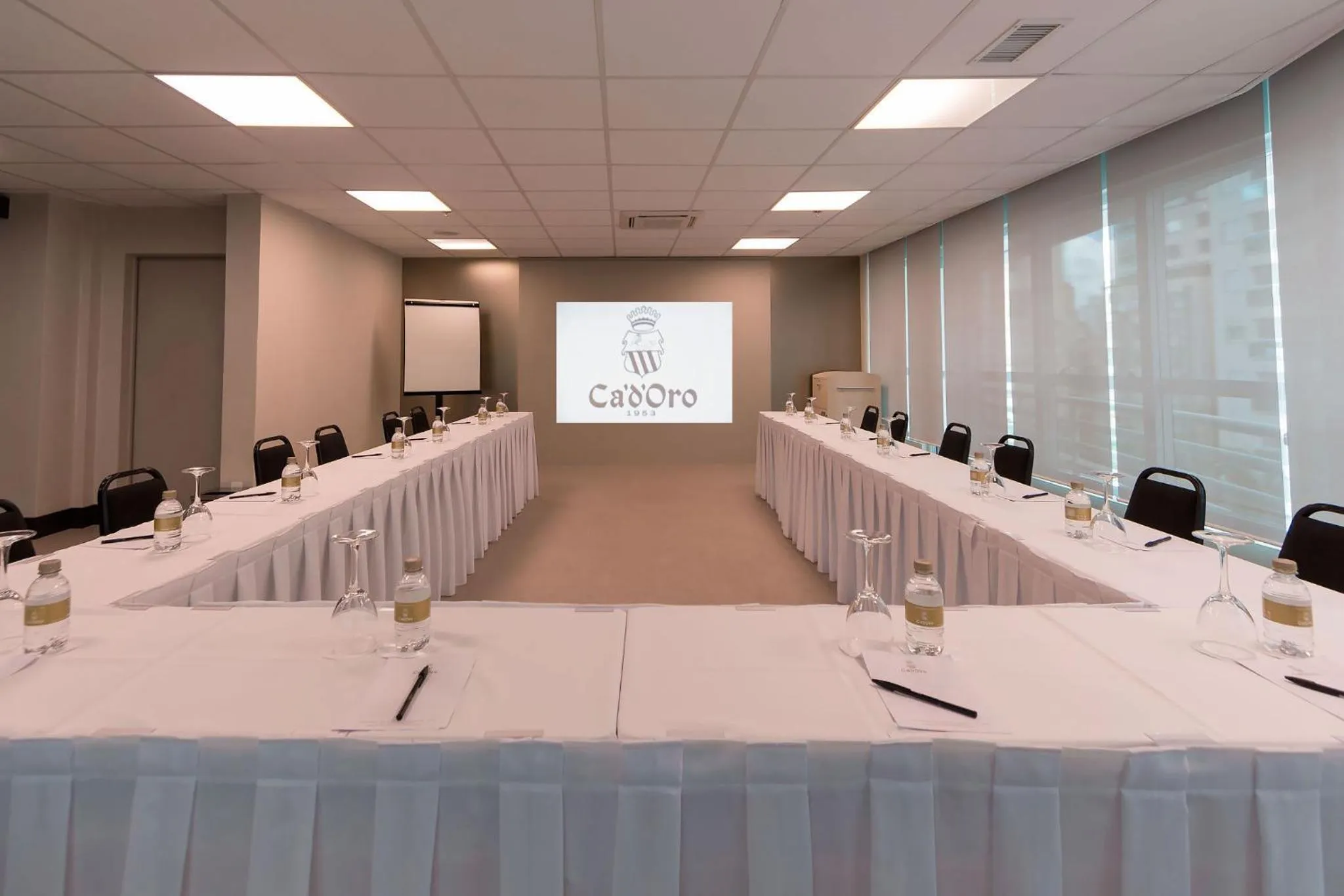 Business facilities in Hotel Cadoro São Paulo