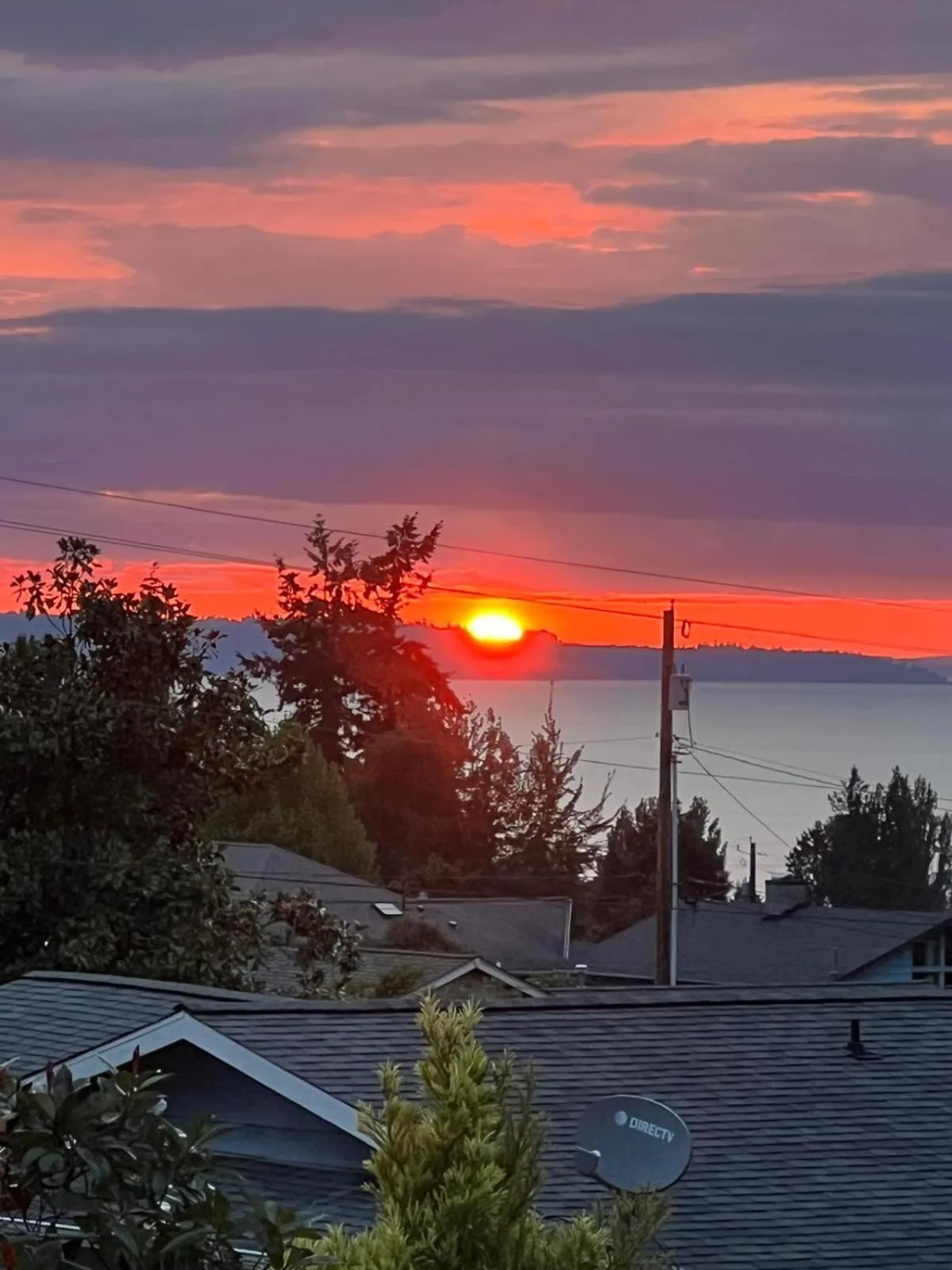 Sea view in Villa Rivarola