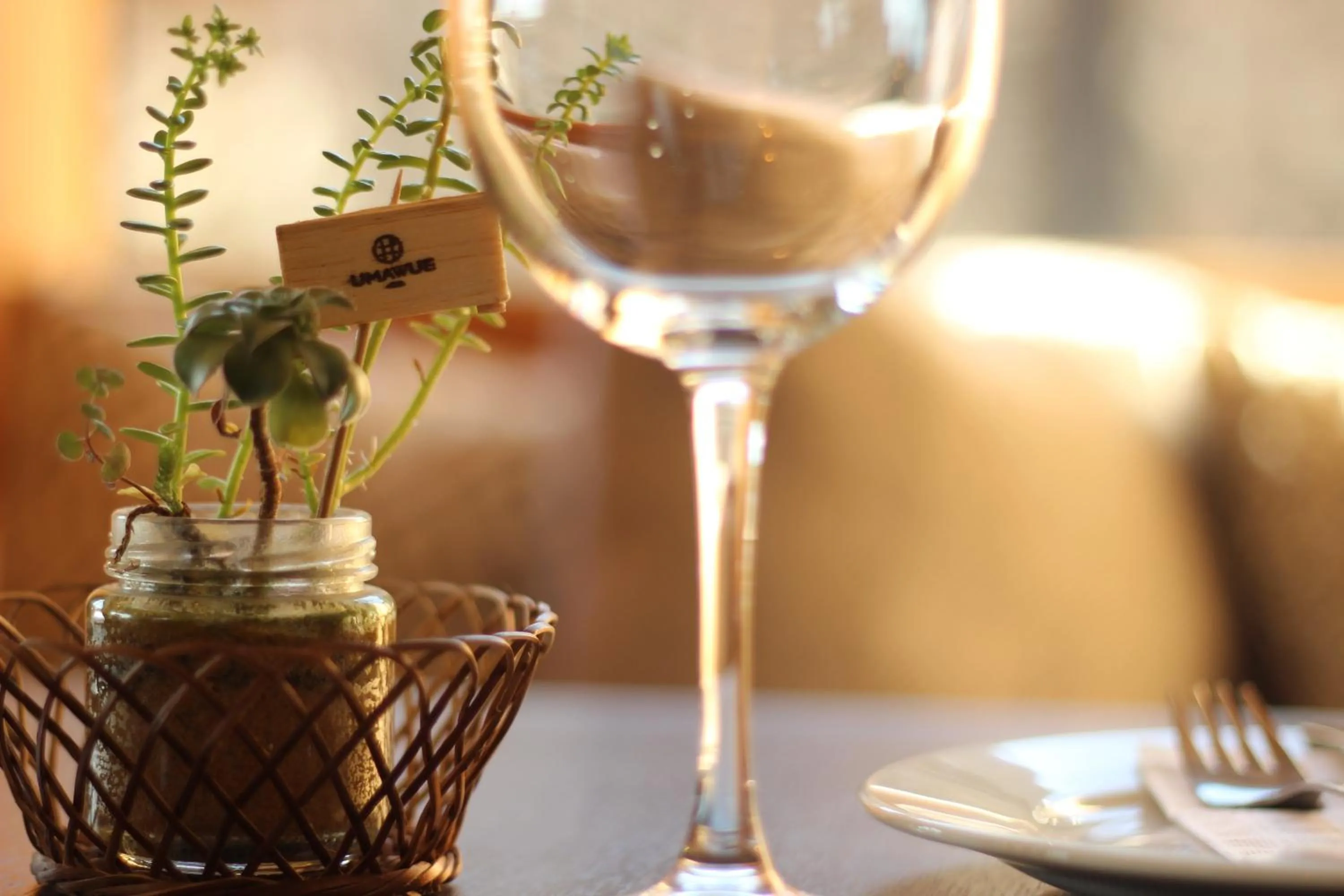 Drinks in Hotel Umawue