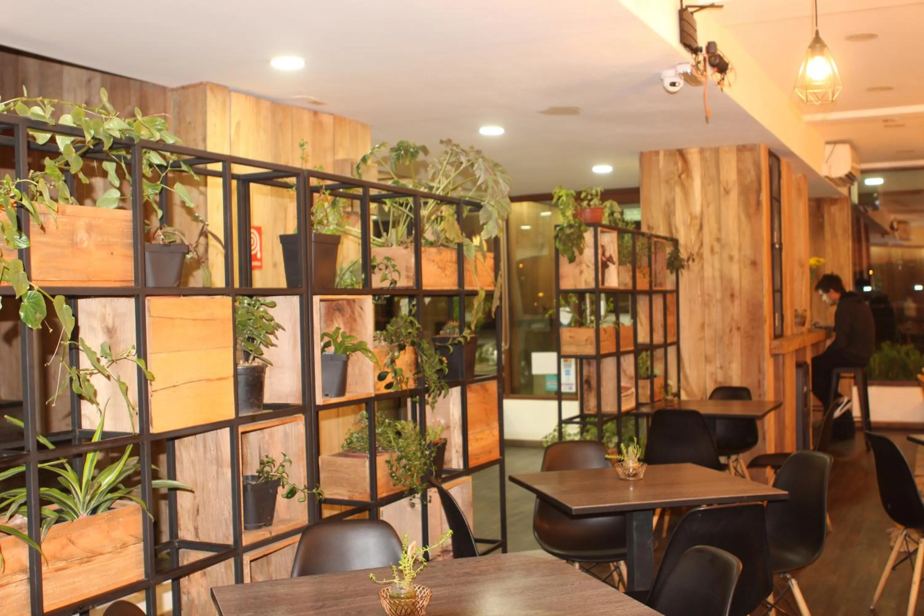 Restaurant/places to eat in Hotel Umawue