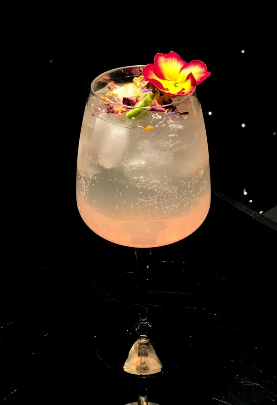 Alcoholic drinks in Hotel Orizzonte