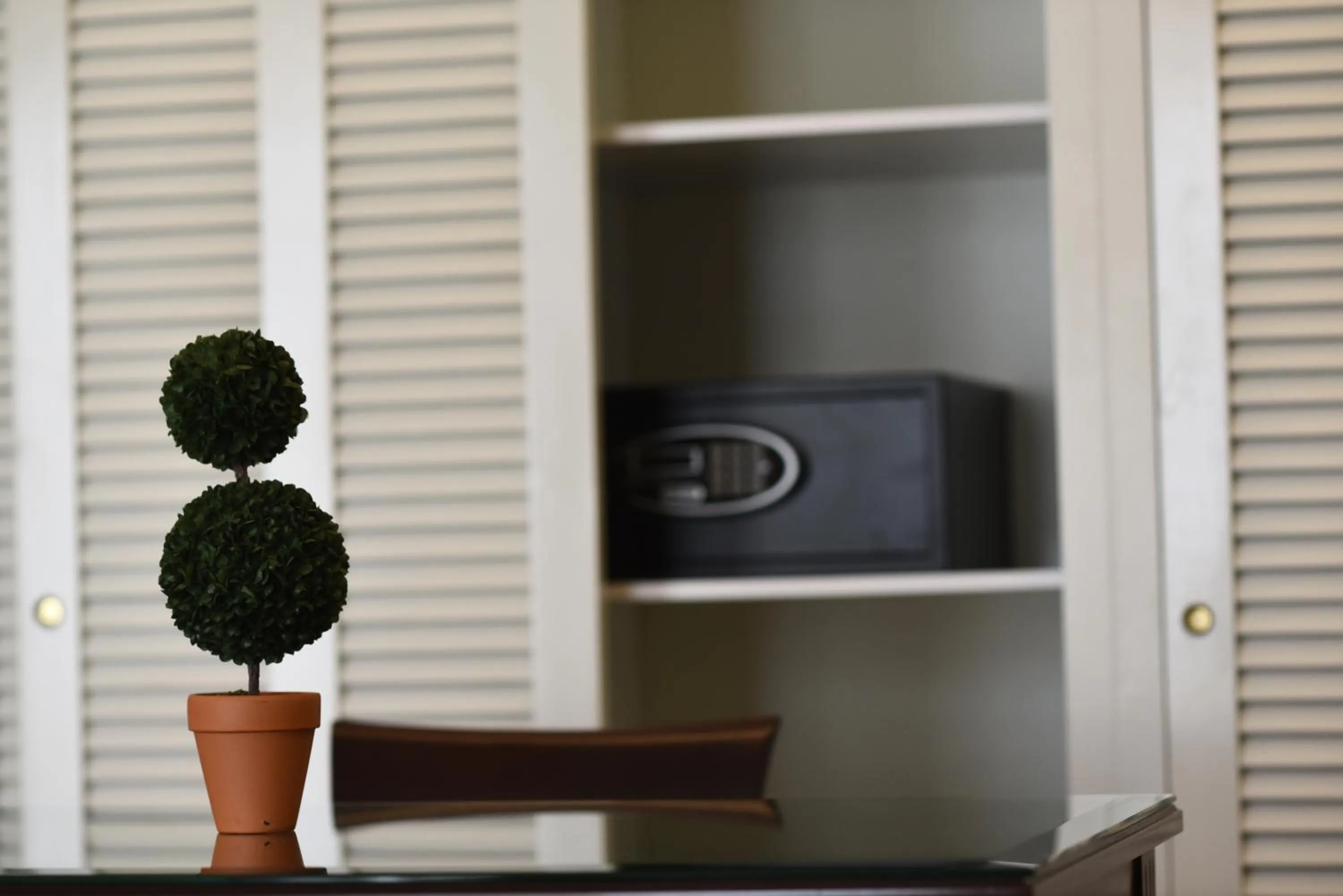 Area and facilities in King Minos Hotel