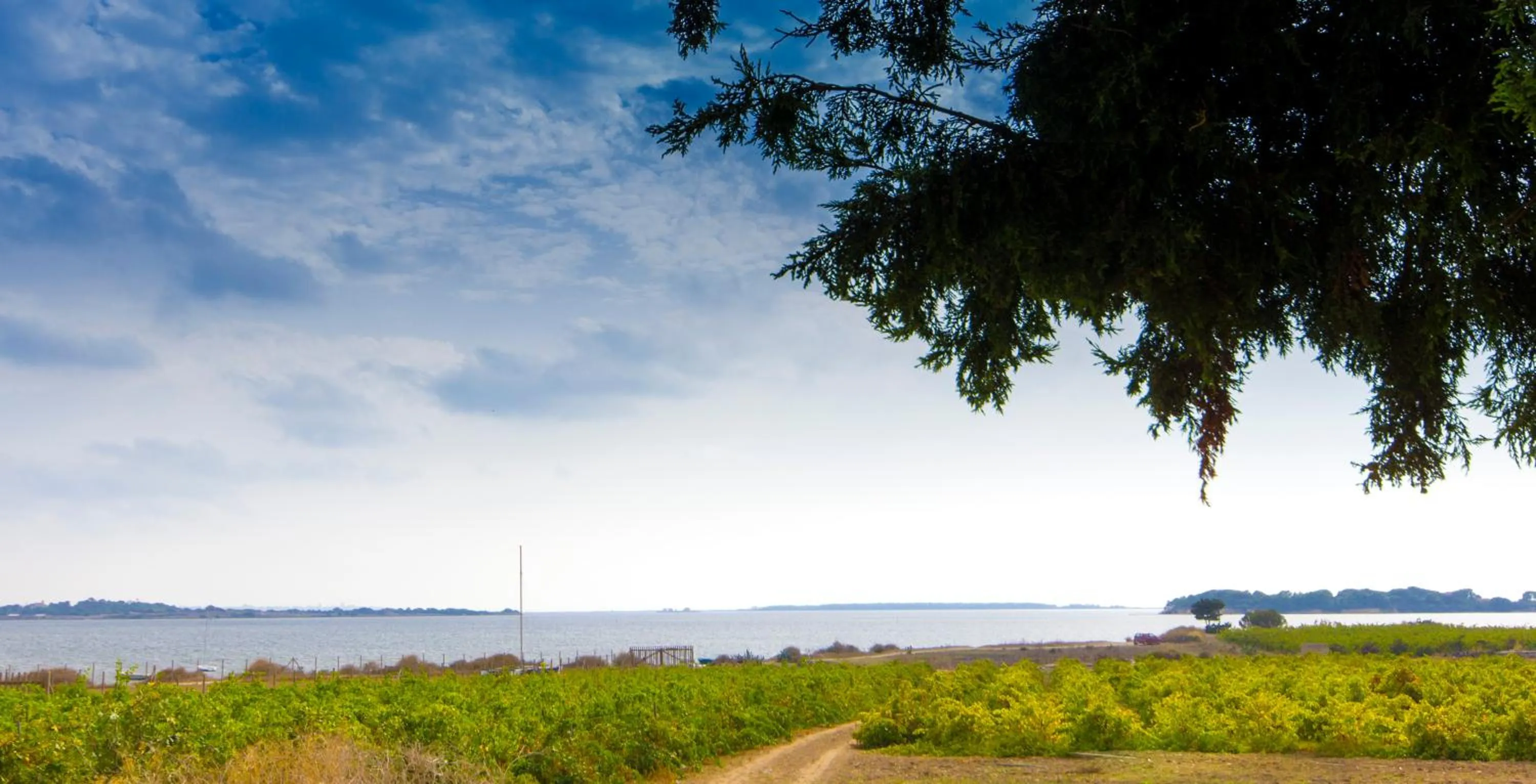 Natural landscape in B&B Isole Dello Stagnone