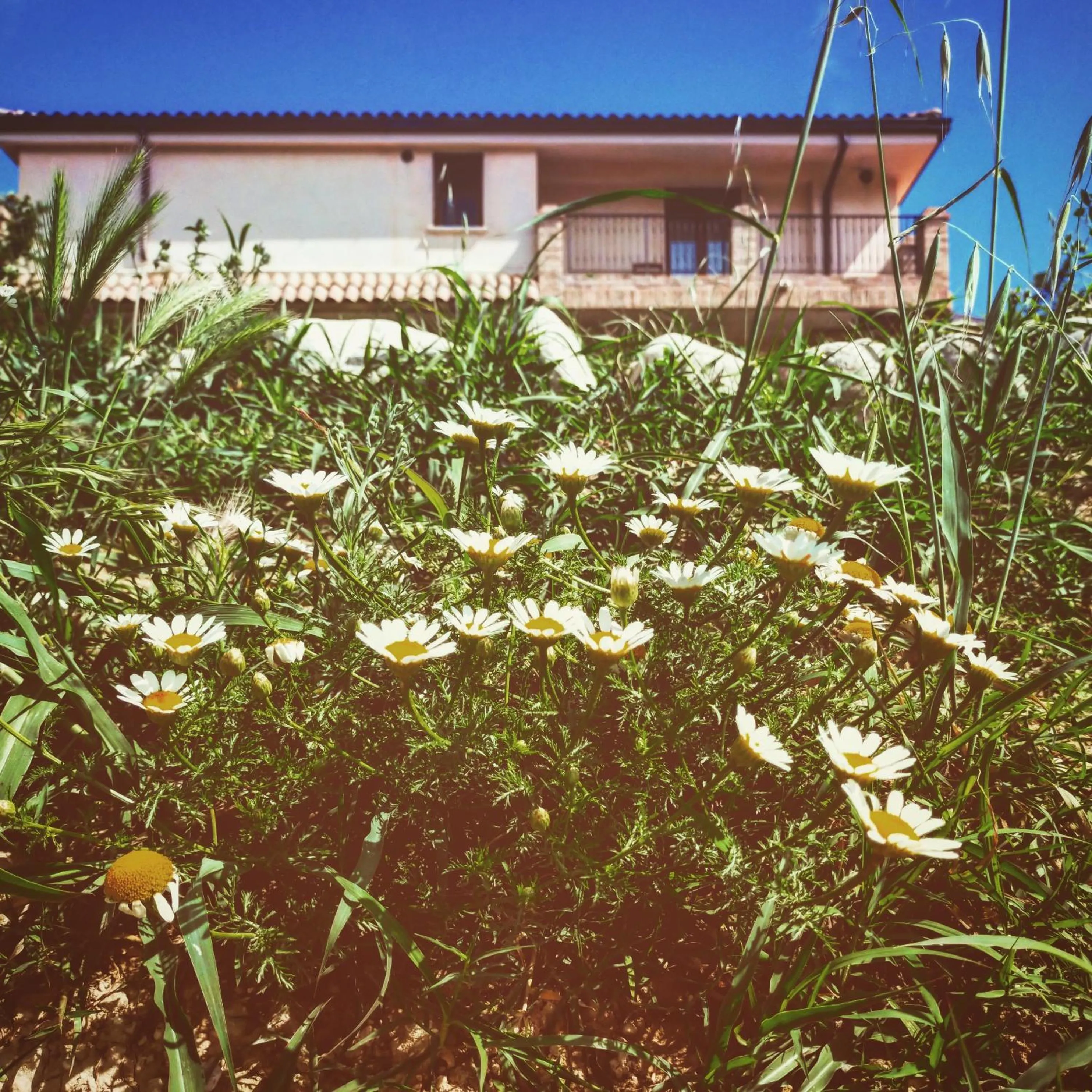 Property building in Casale del Sole