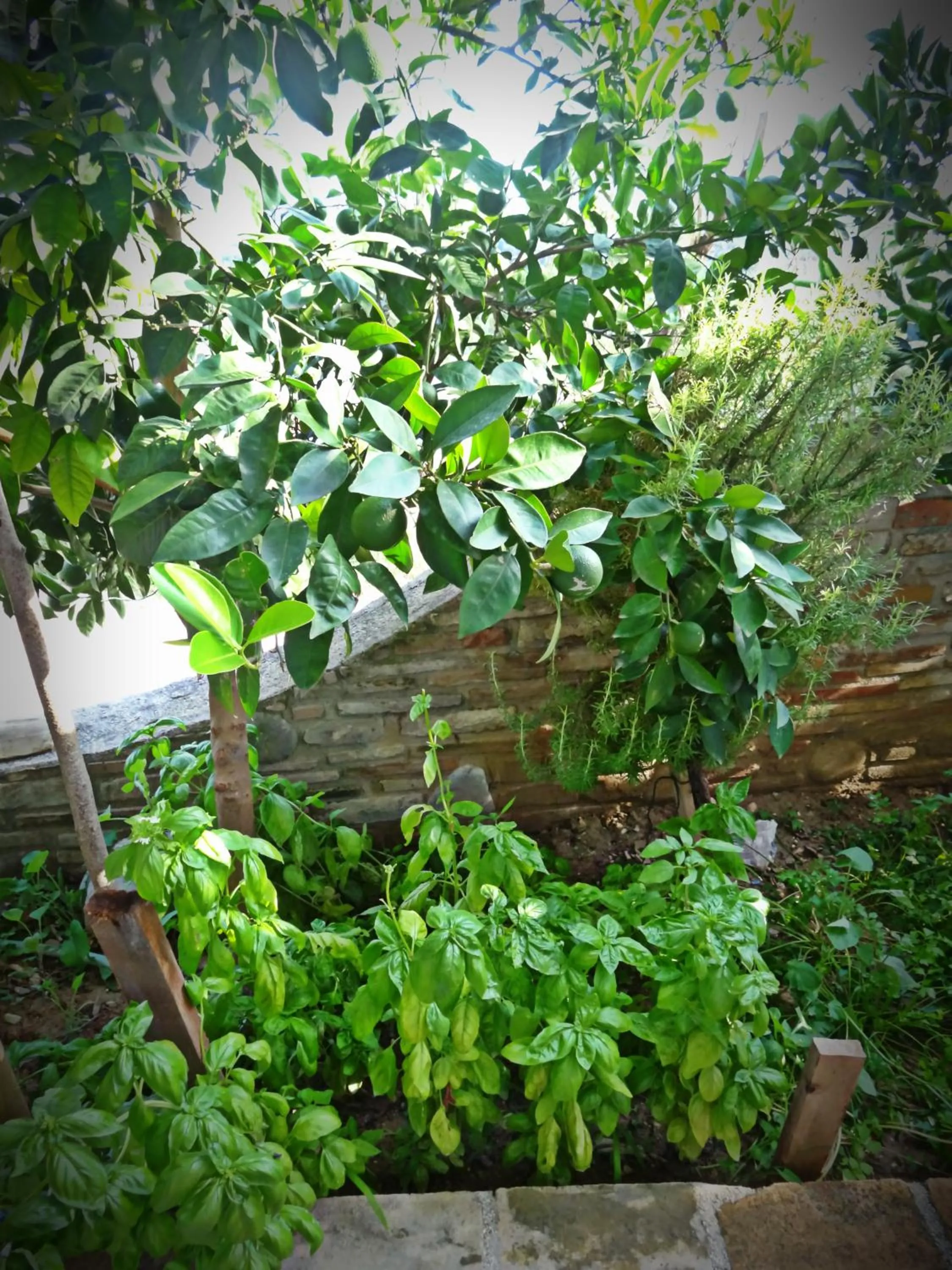 Property building in Casale del Sole