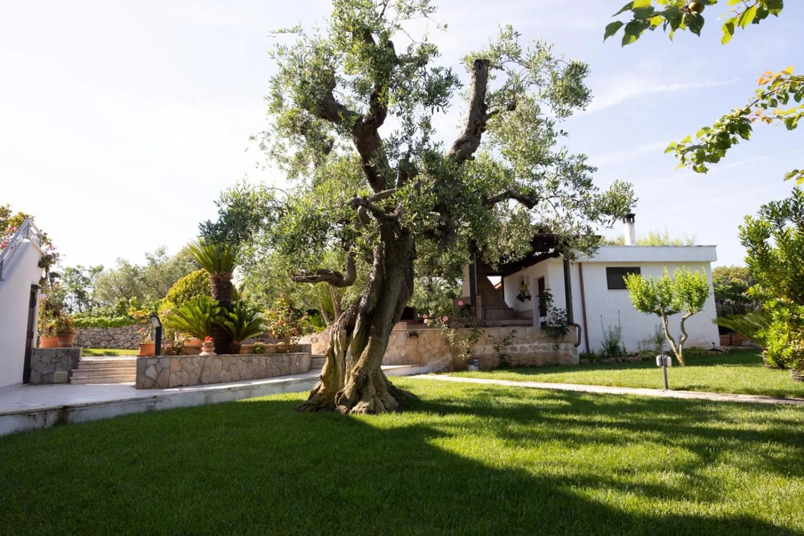 Bed & Breakfast dei Colli