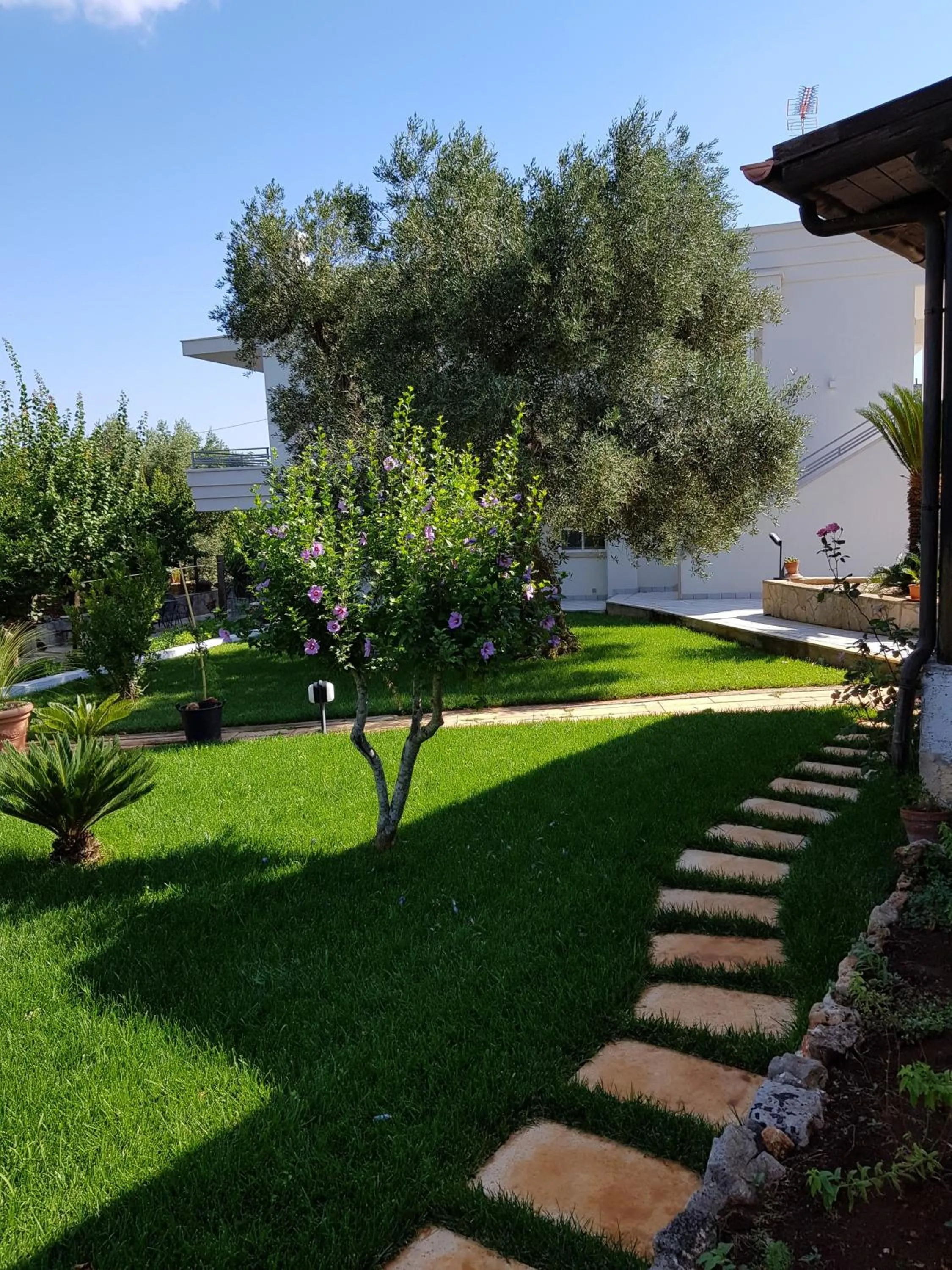 Bed & Breakfast dei Colli