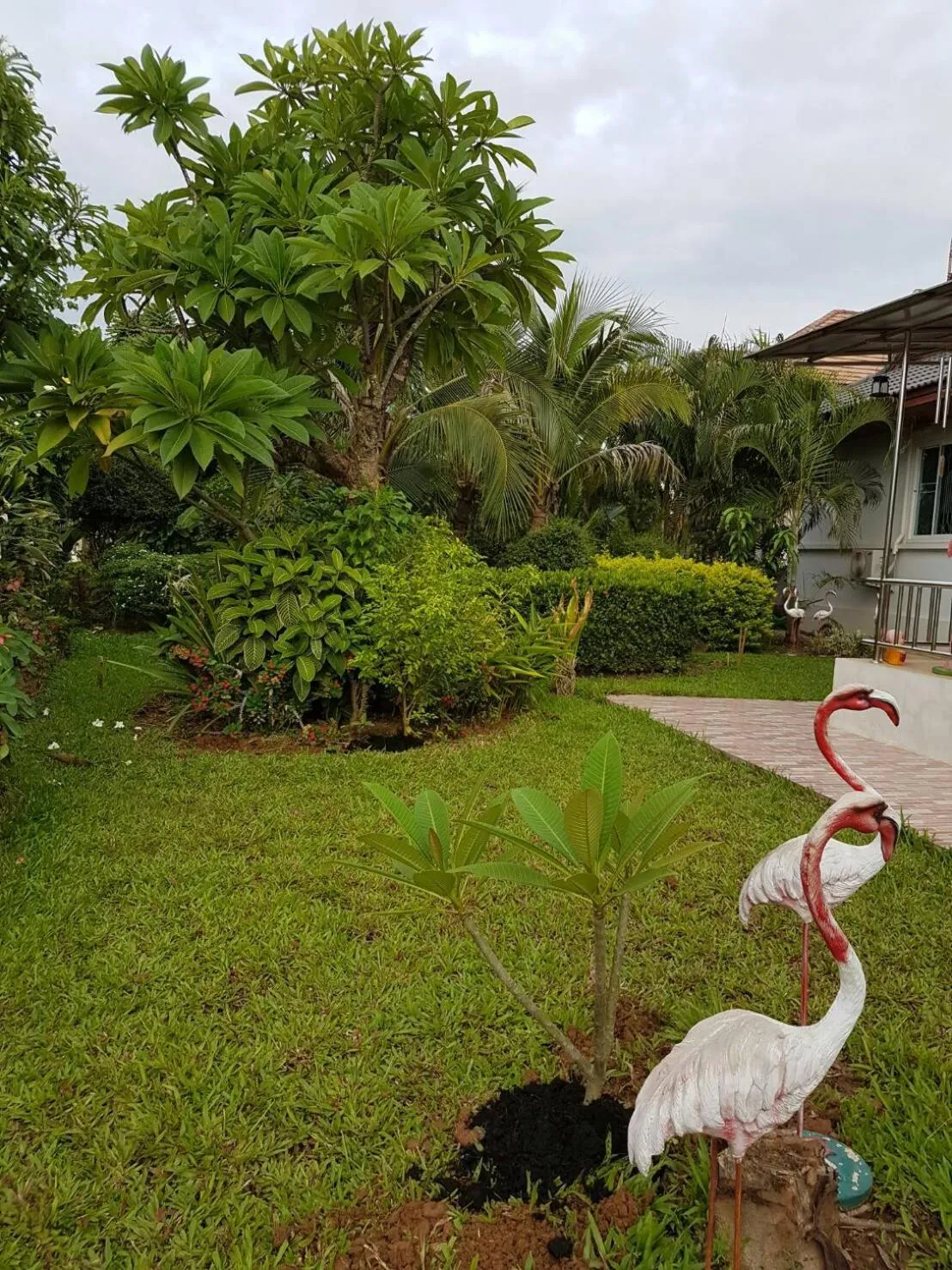 Garden in Nuch's Apple Guest House