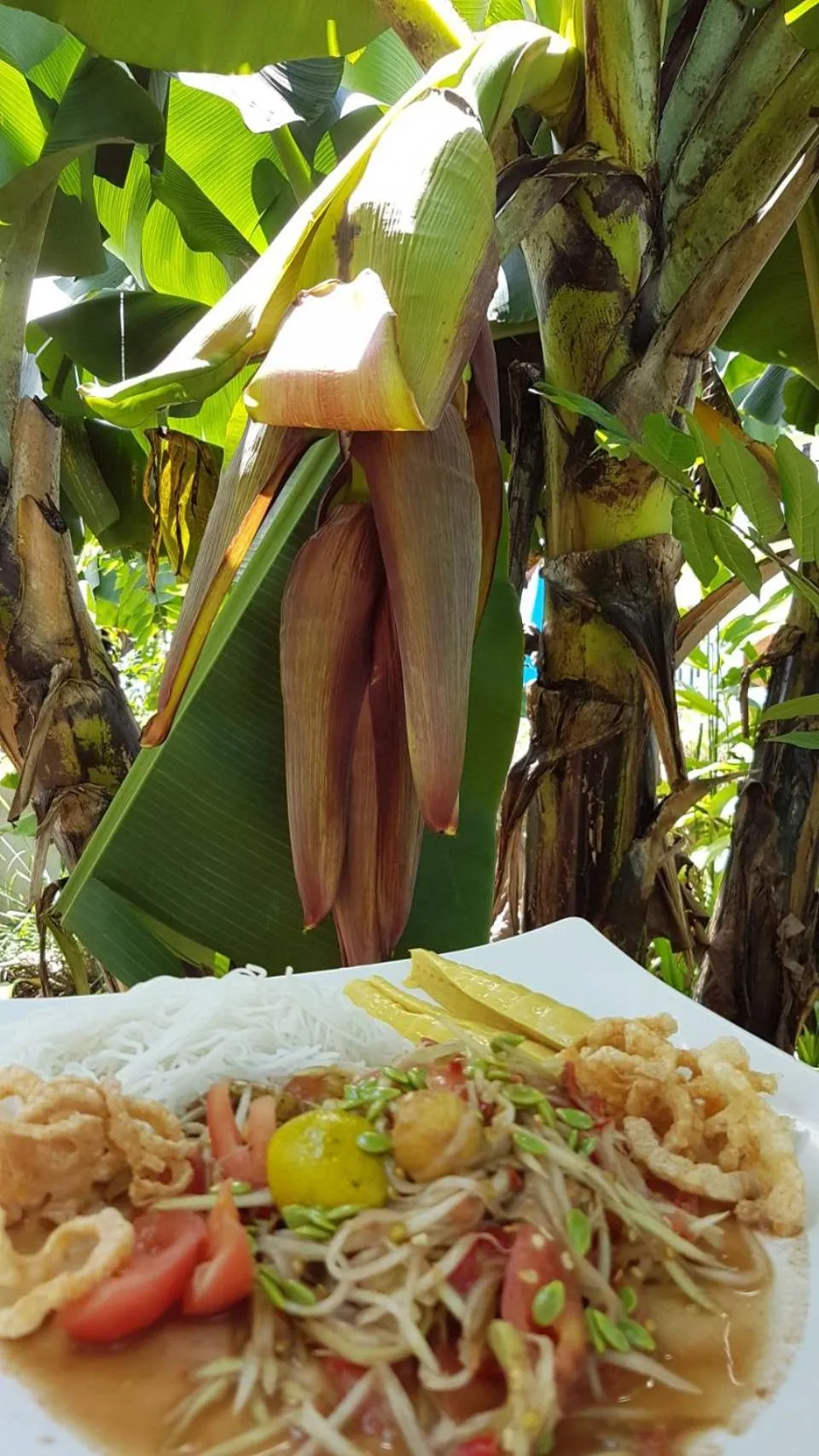 Food in Nuch's Apple Guest House