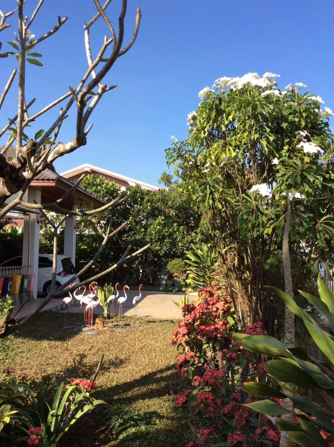 Garden in Nuch's Apple Guest House