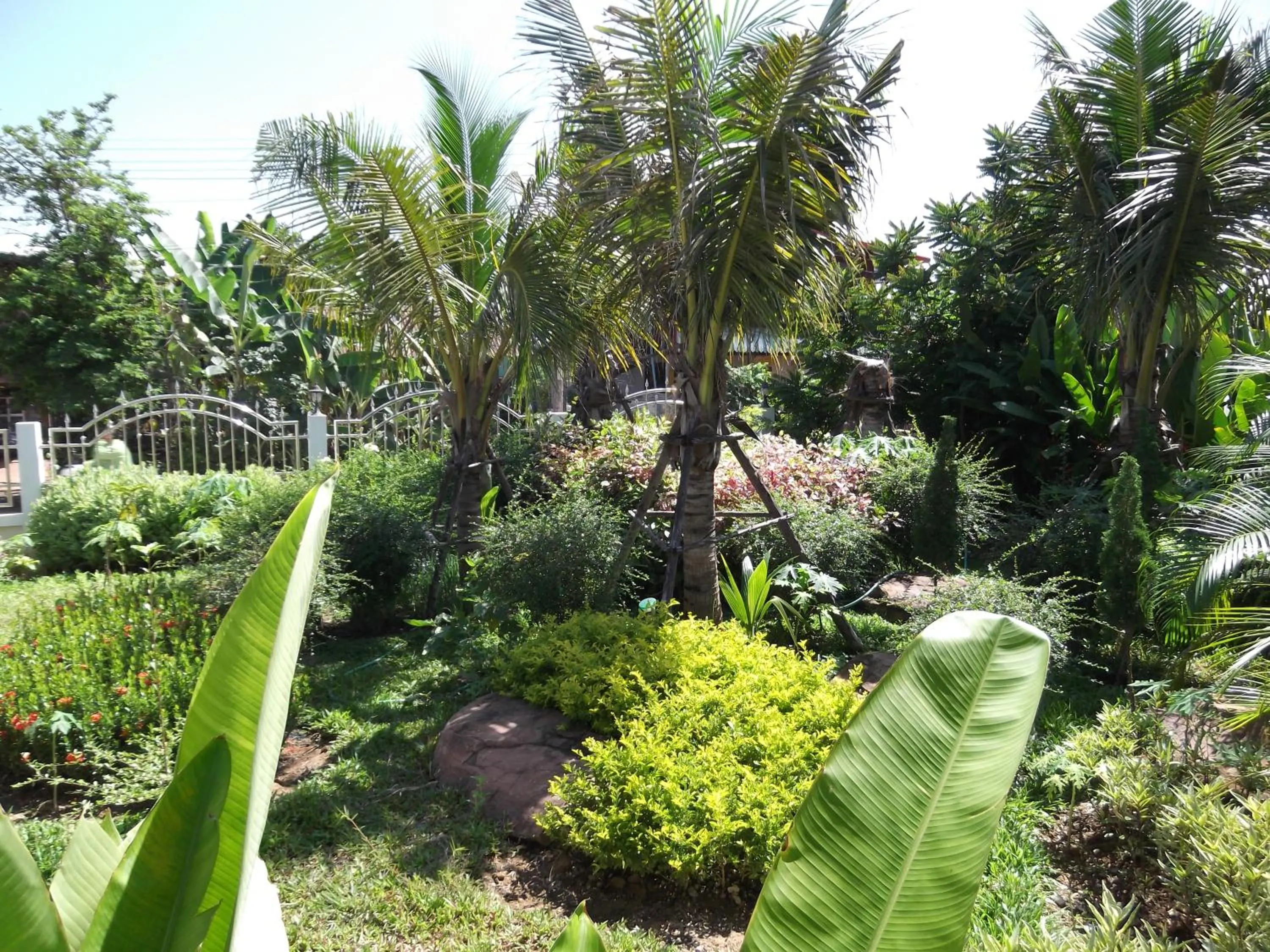 Garden in Nuch's Apple Guest House