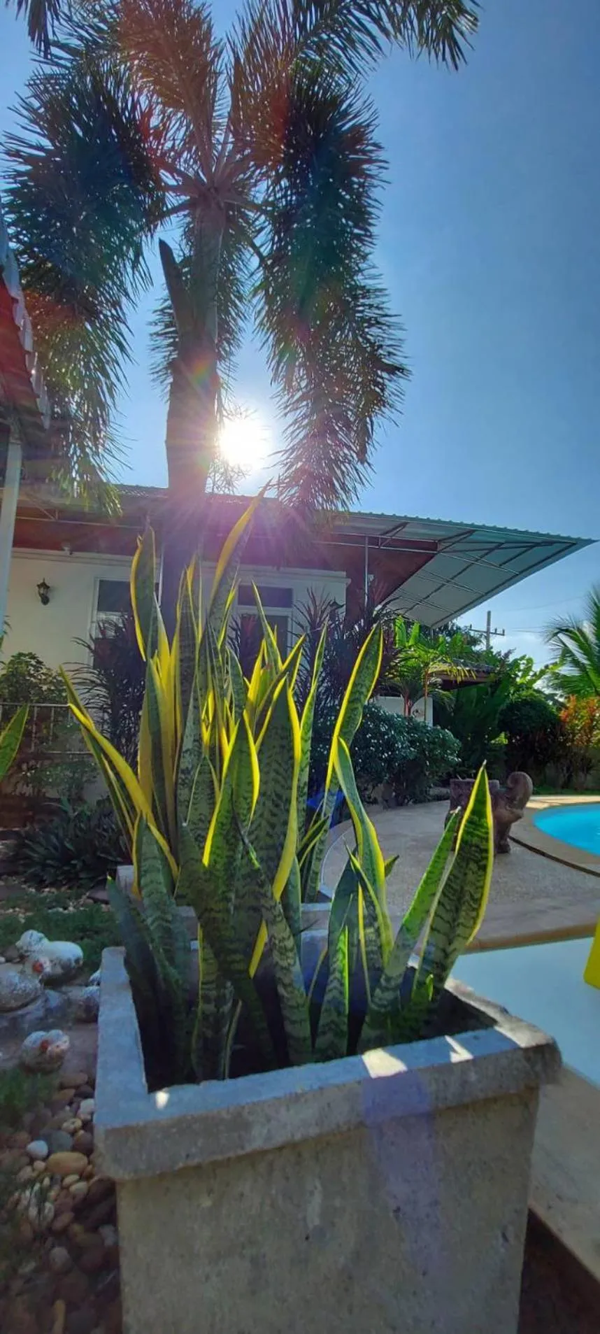 Garden in Nuch's Apple Guest House