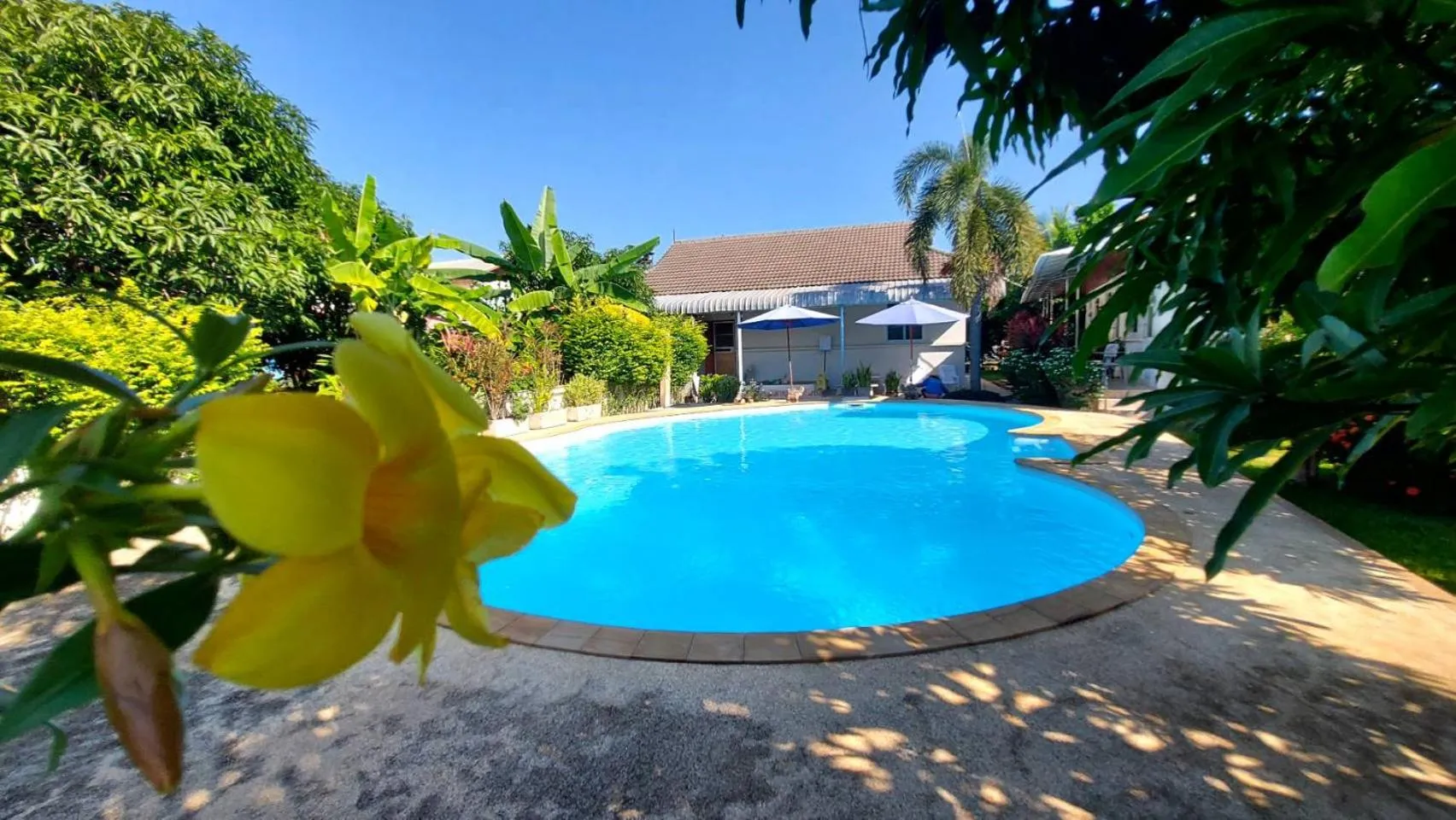 Pool view in Nuch's Apple Guest House