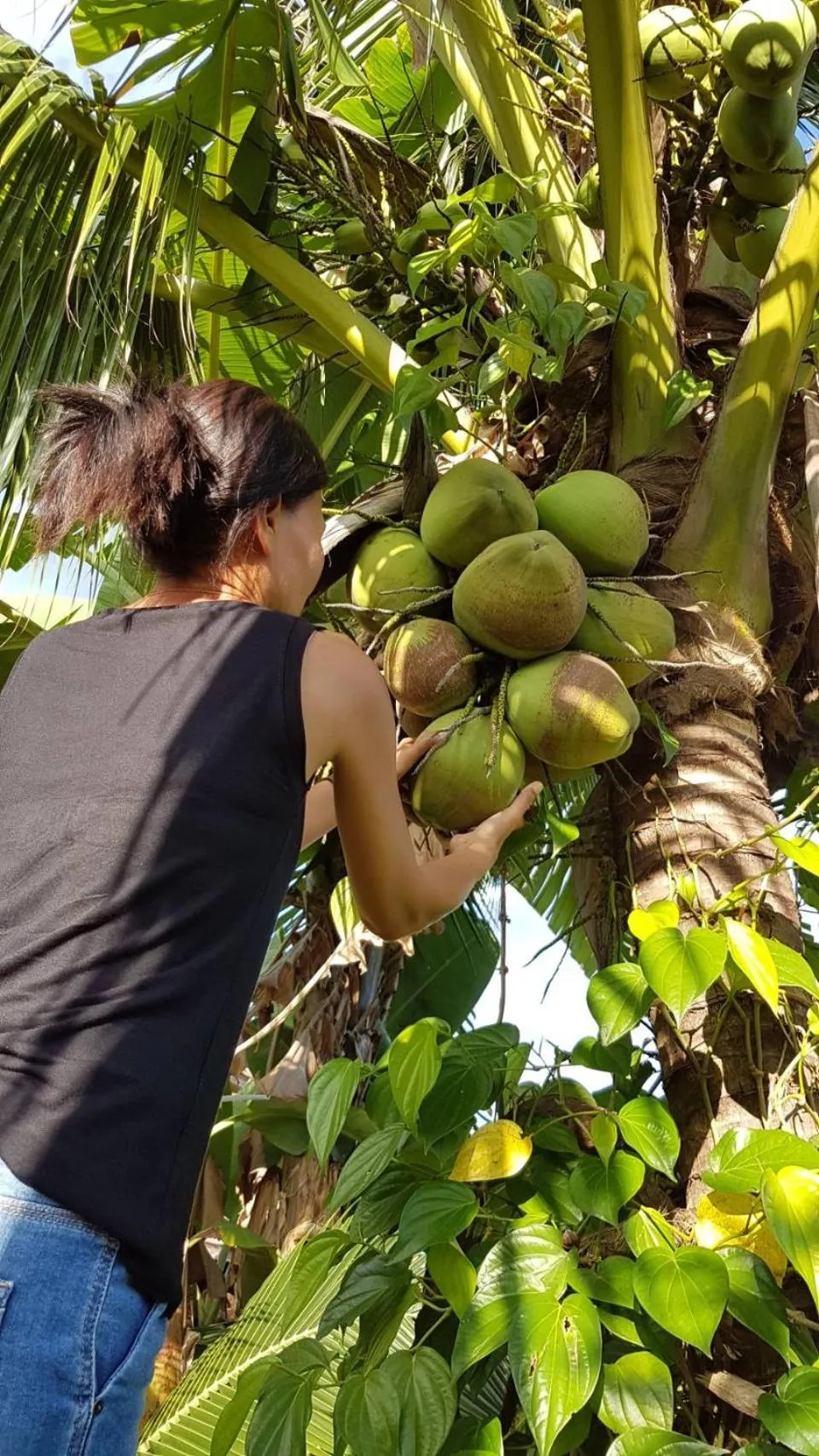 Garden in Nuch's Apple Guest House