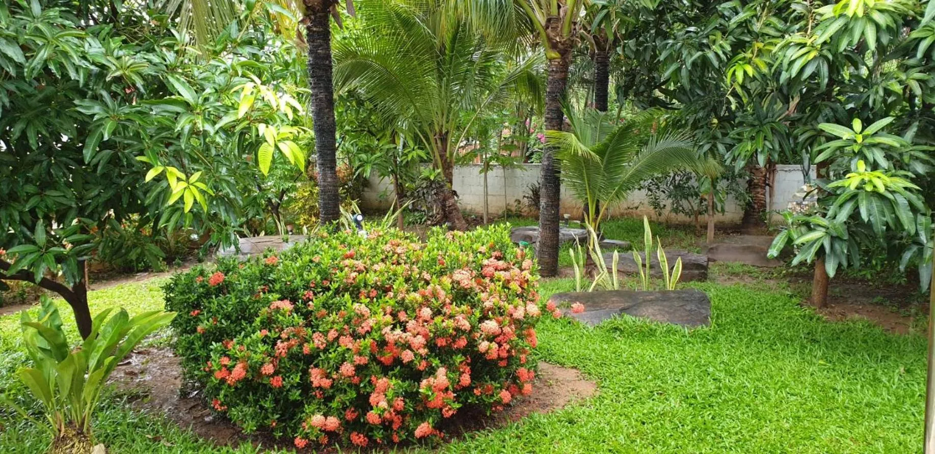 Garden in Nuch's Apple Guest House