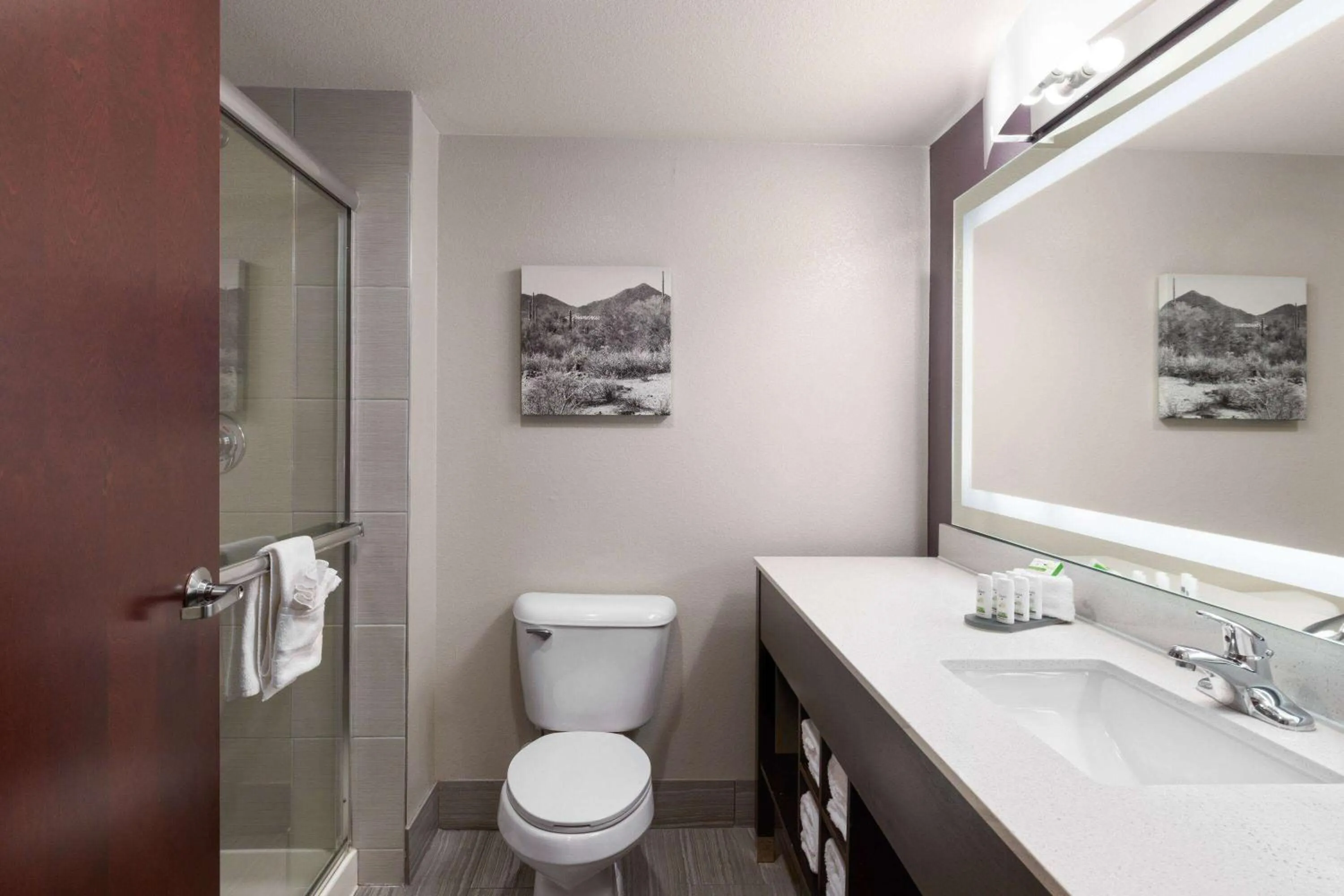 Bathroom in La Quinta by Wyndham Williams-Grand Canyon Area