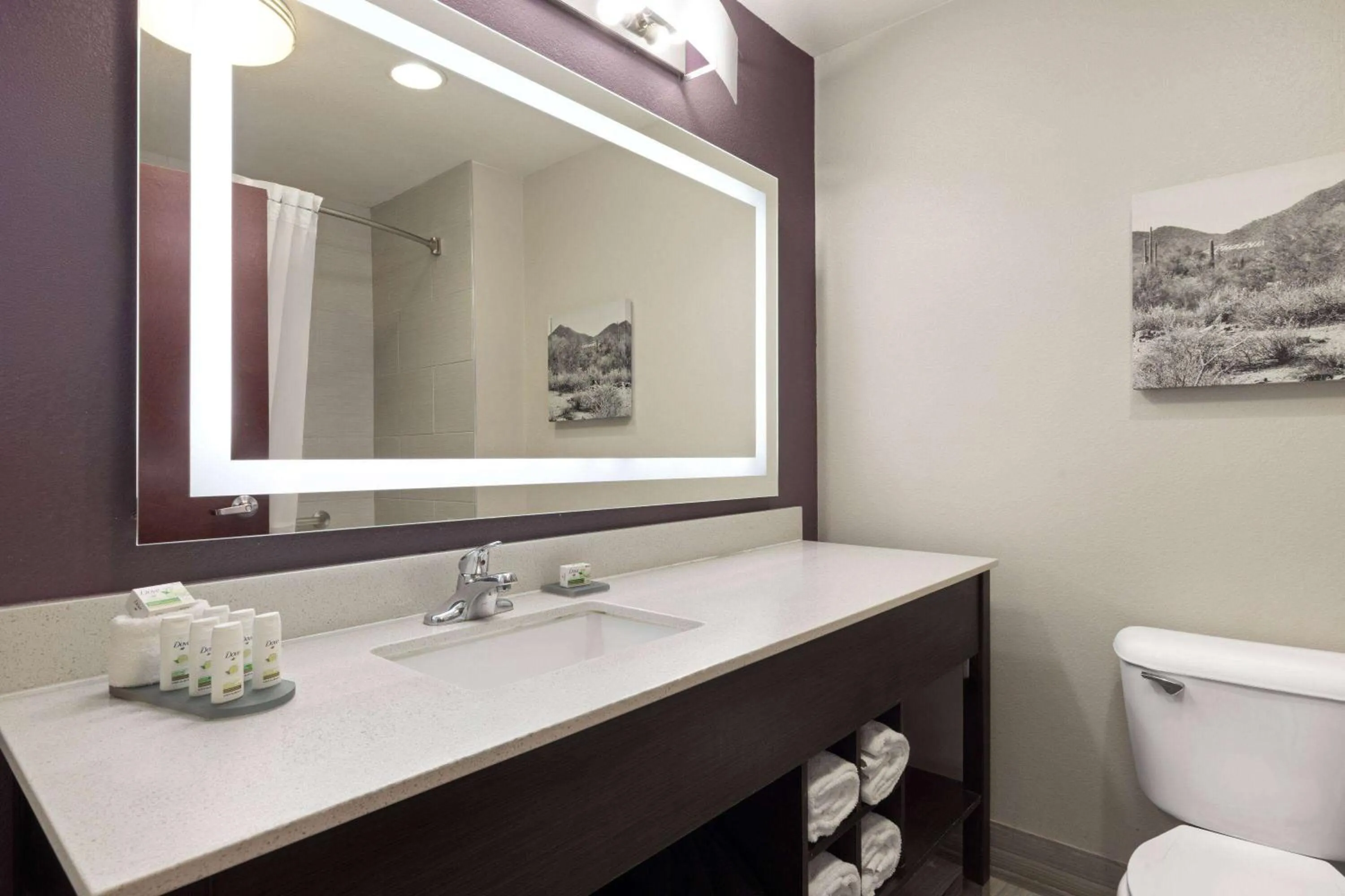 Bathroom in La Quinta by Wyndham Williams-Grand Canyon Area