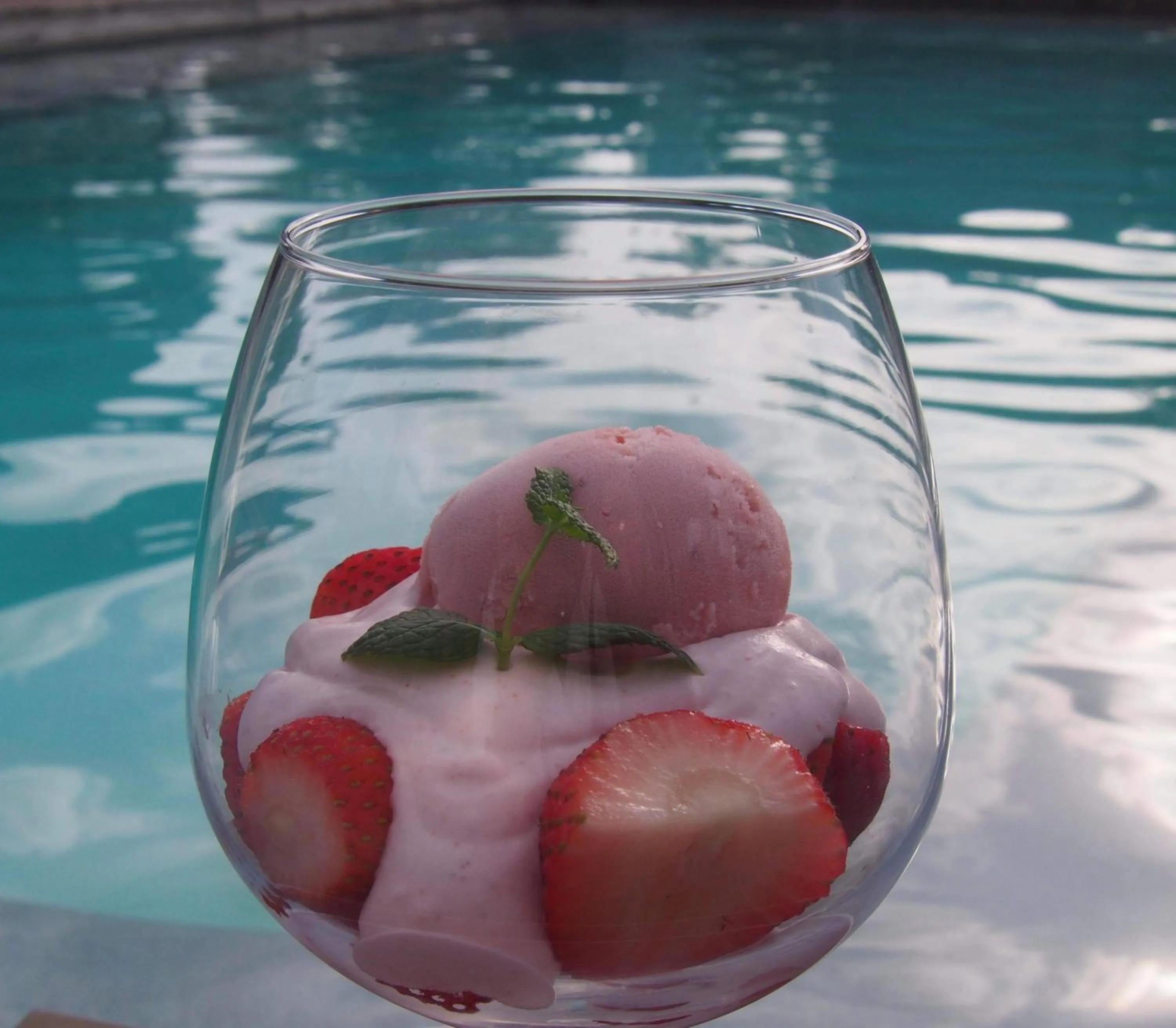 Food in Red Palm Village