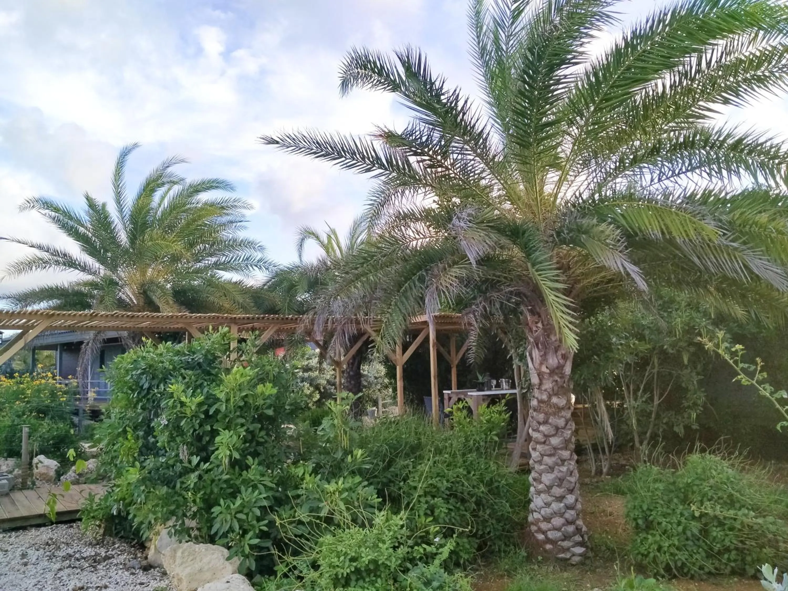 Garden in Red Palm Village