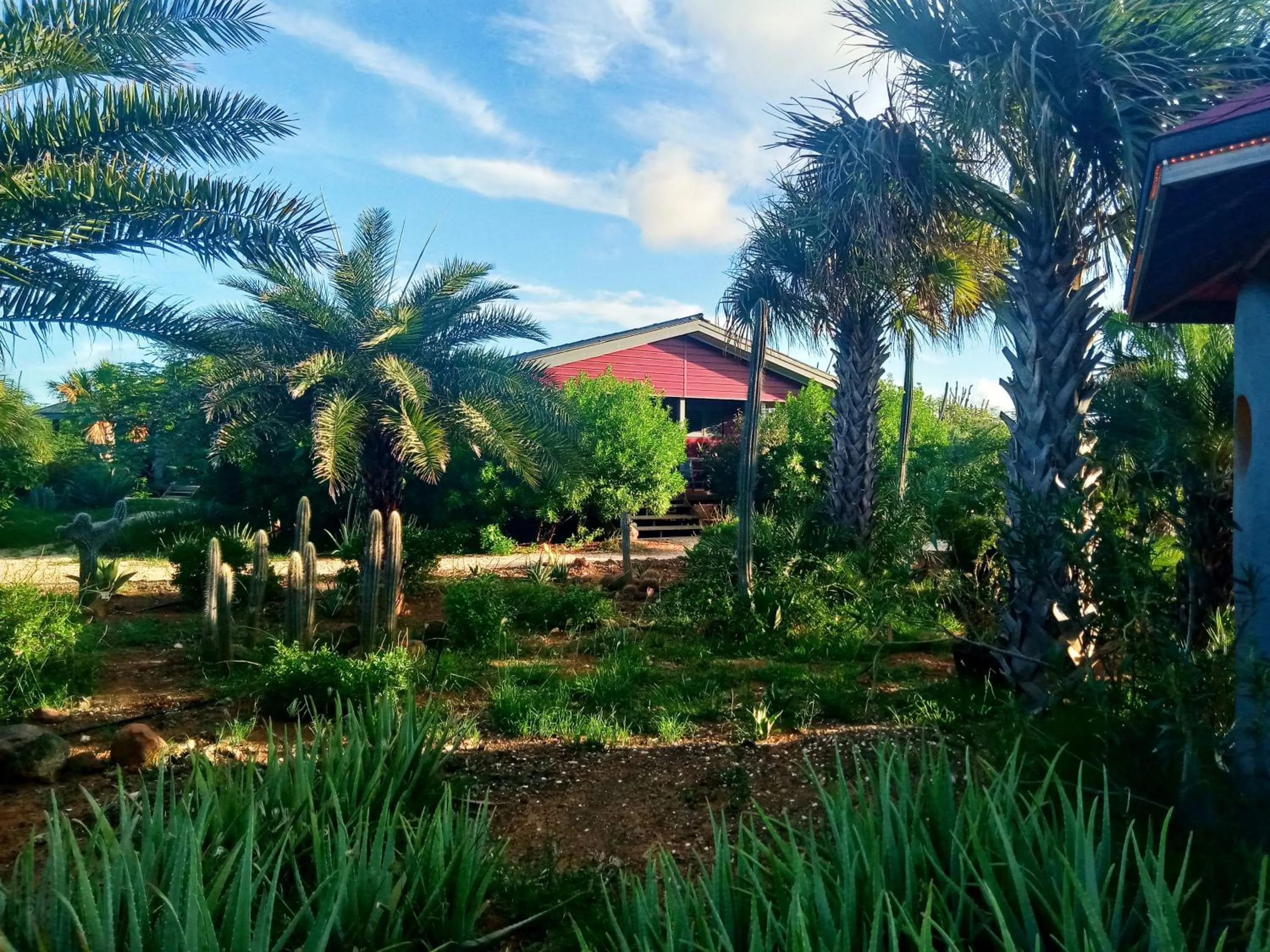 Property building in Red Palm Village