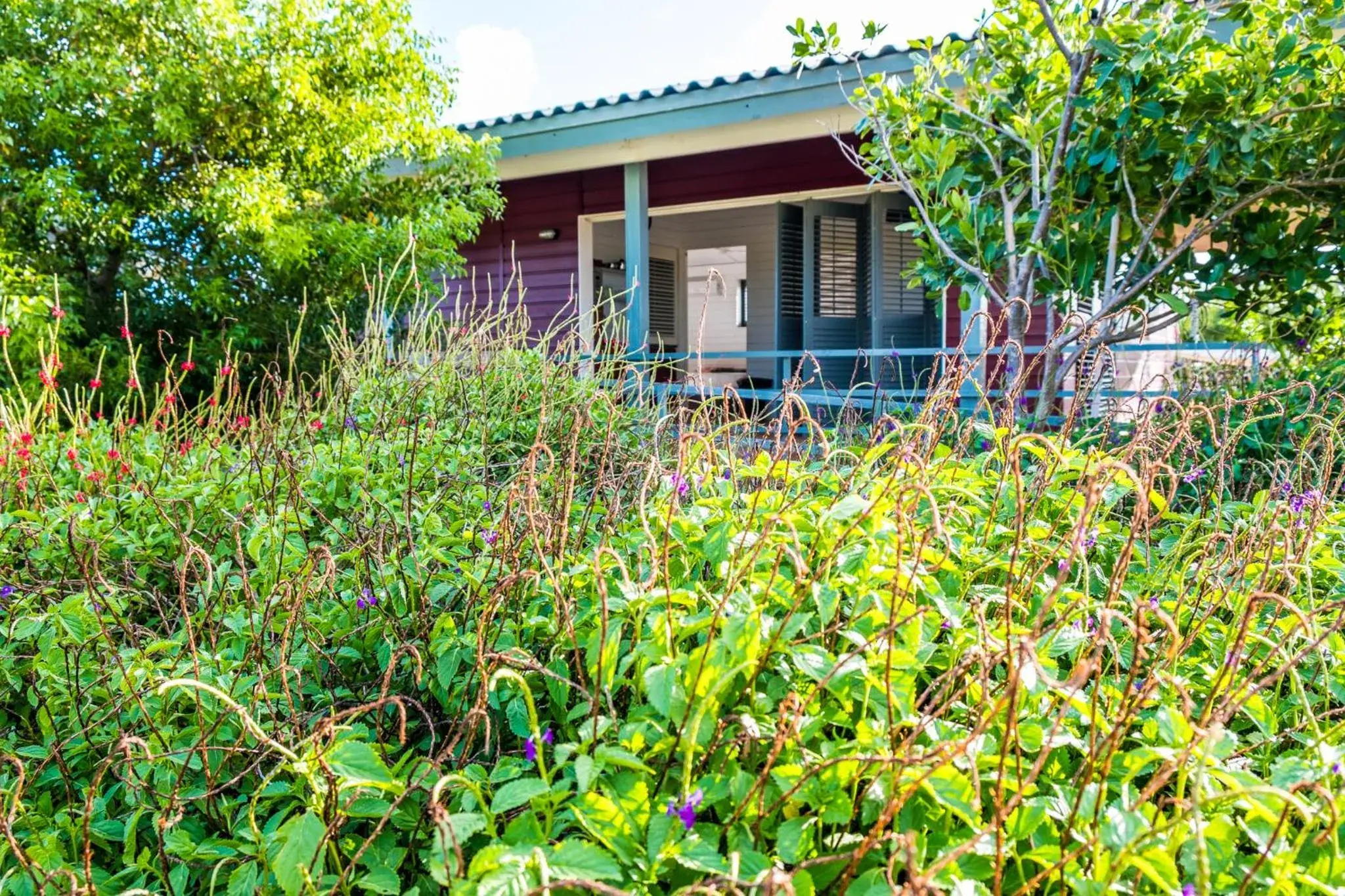 Two-Bedroom Chalet in Red Palm Village Two-Bedroom Chalet in Red Palm Village