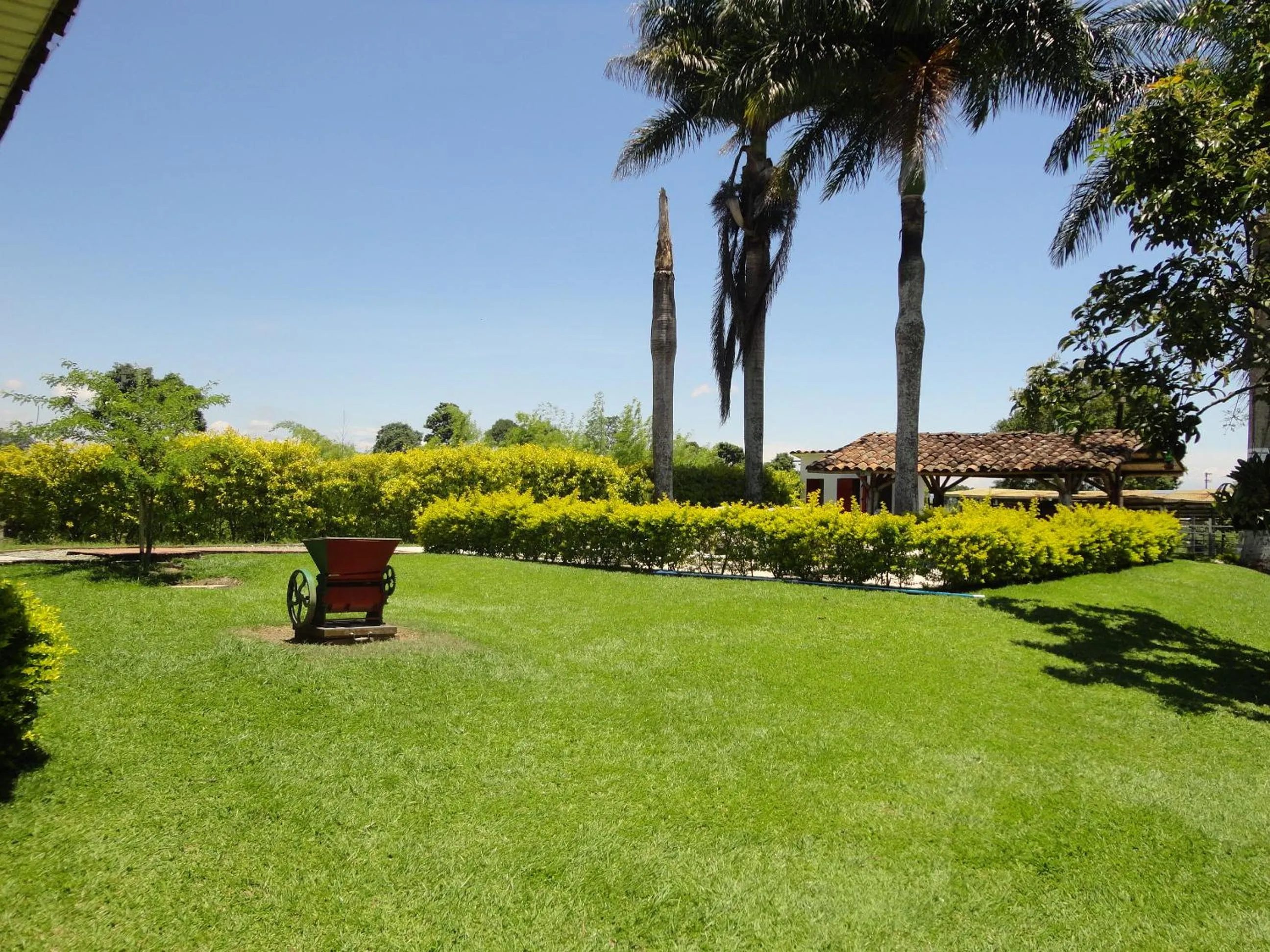 Garden in Finca Hotel Santana Campestre Quindio