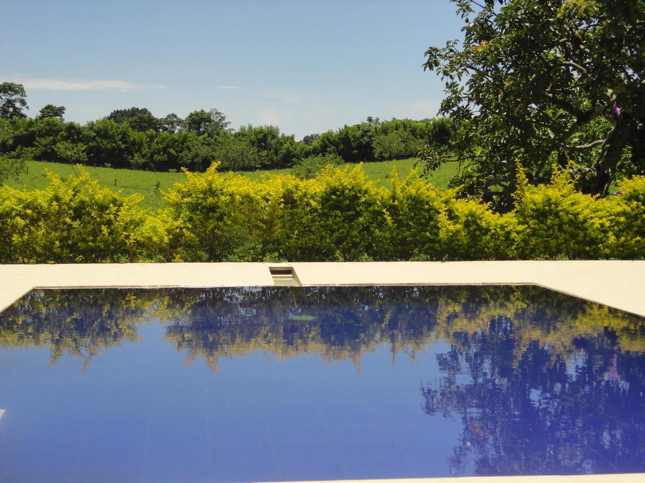Swimming pool in Finca Hotel Santana Campestre Quindio