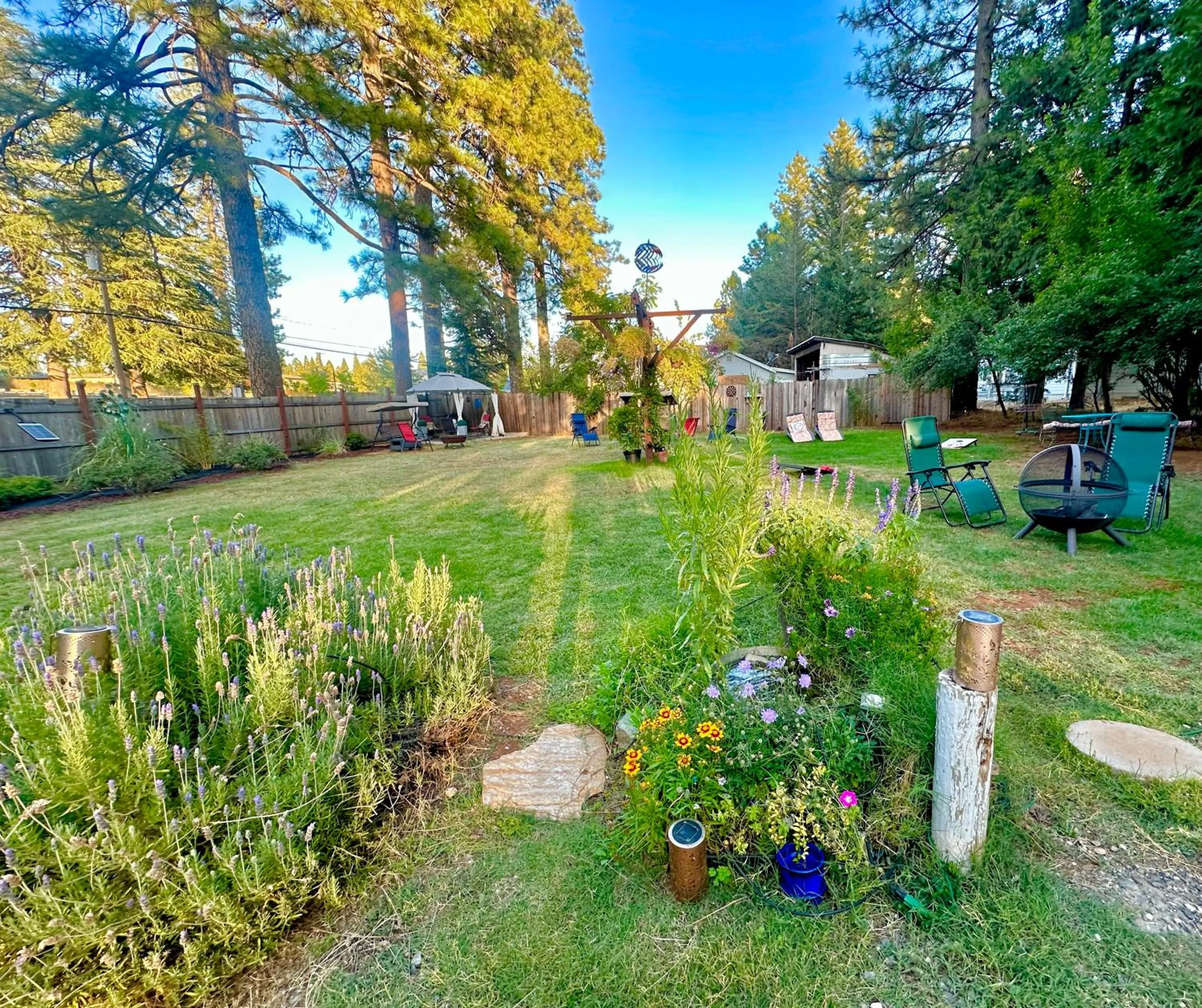Natural landscape in The Pines Inn and Cottages