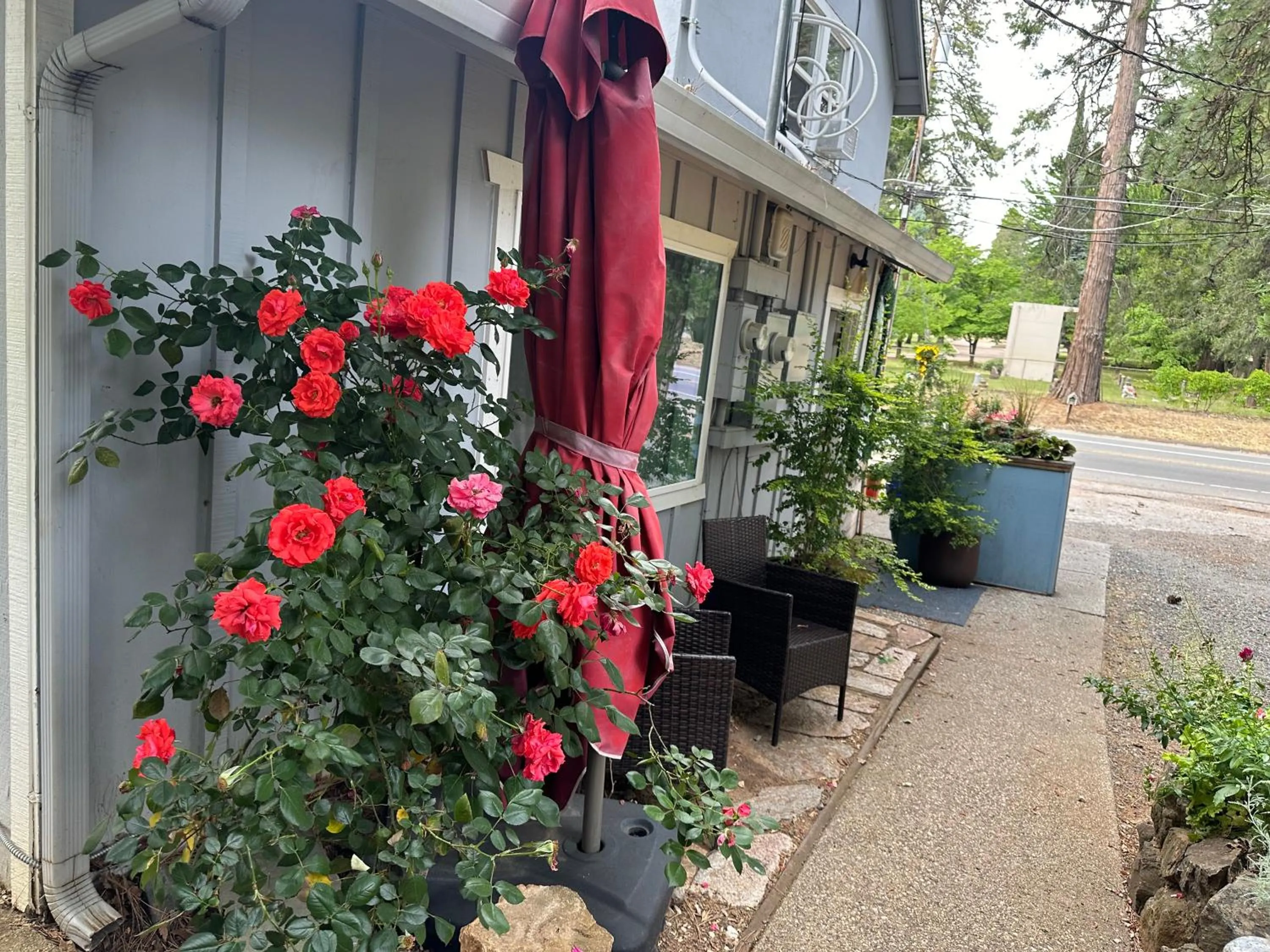 Patio in The Pines Inn and Cottages