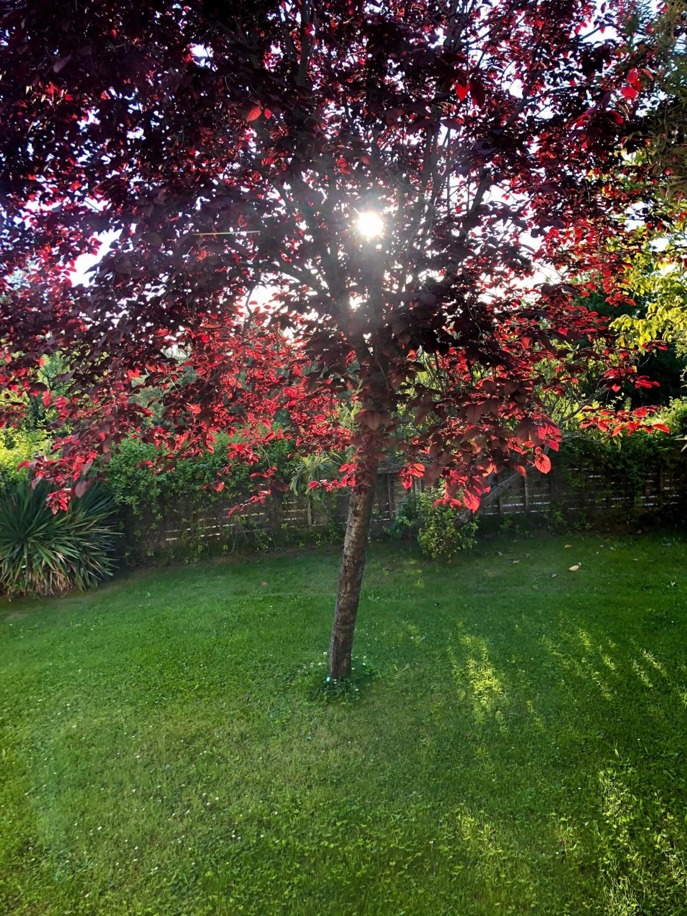 Natural landscape in Hotel Finca Aldabra
