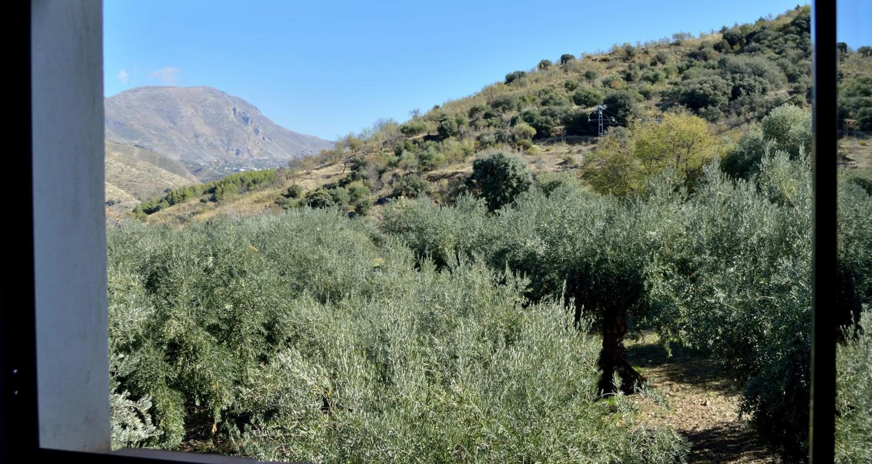 Mountain view in Hotel Finca Aldabra
